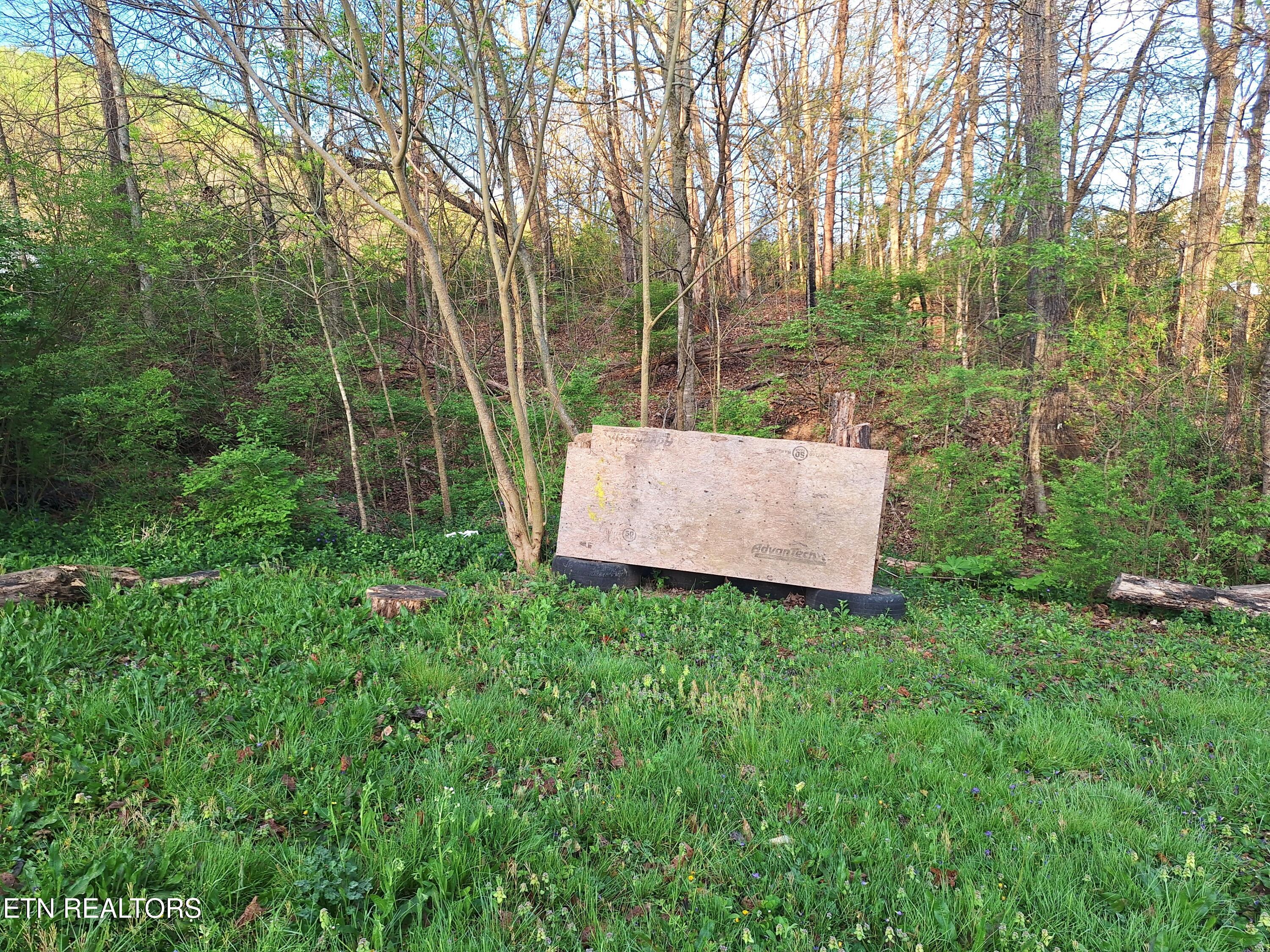 2381 Classic Way Powell TN 37849