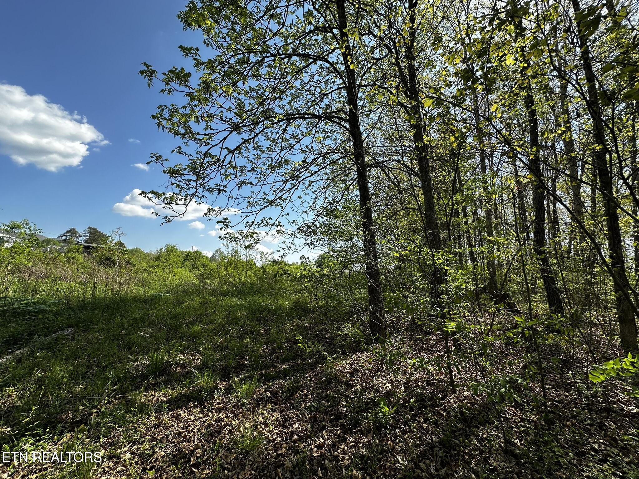 105 Johnson Hollow Lane Greeneville TN 37745