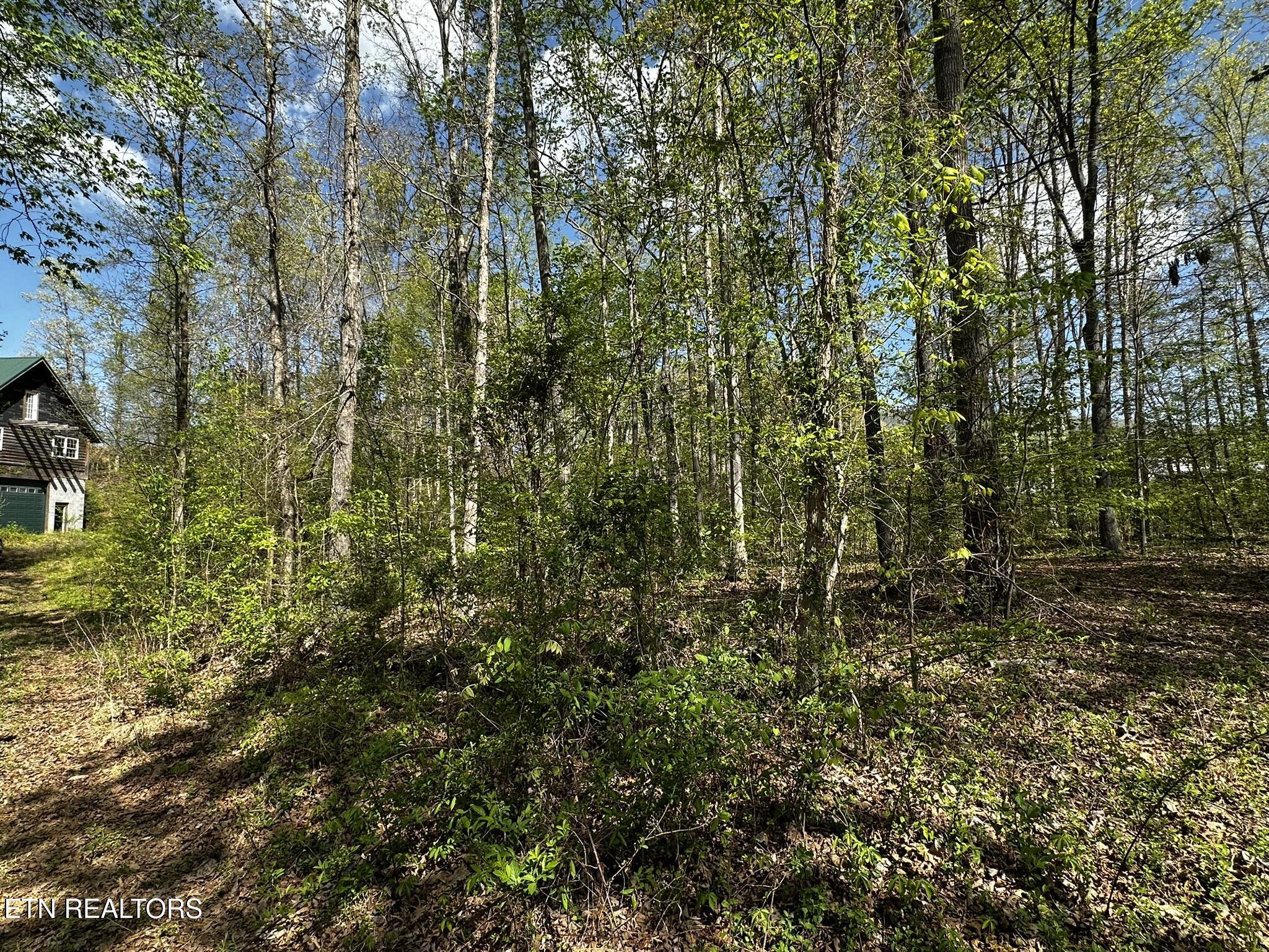 105 Johnson Hollow Lane Greeneville TN 37745