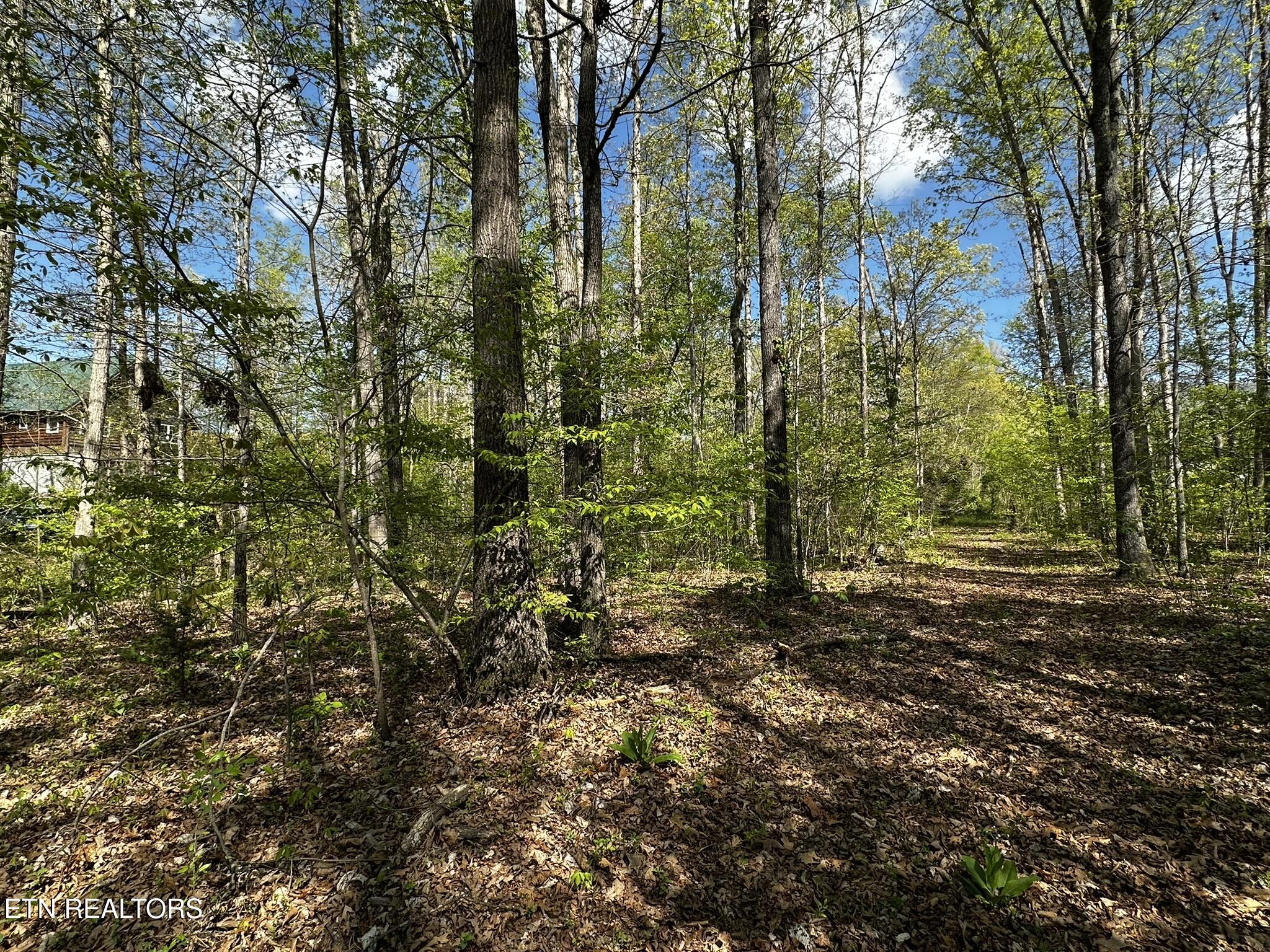 105 Johnson Hollow Lane Greeneville TN 37745