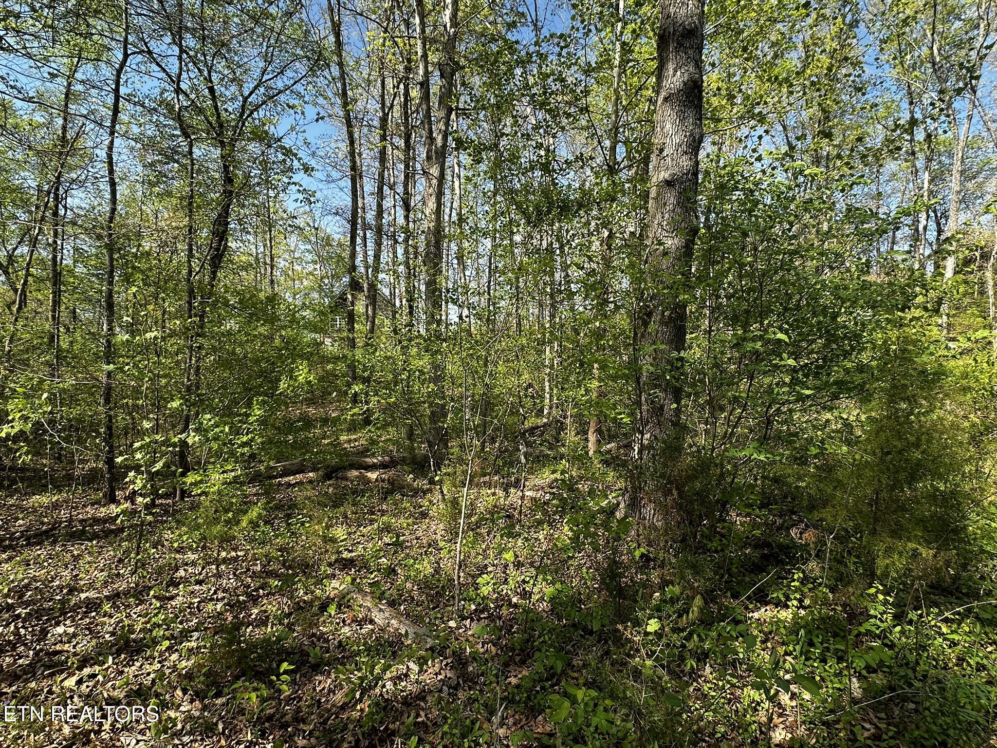 105 Johnson Hollow Lane Greeneville TN 37745