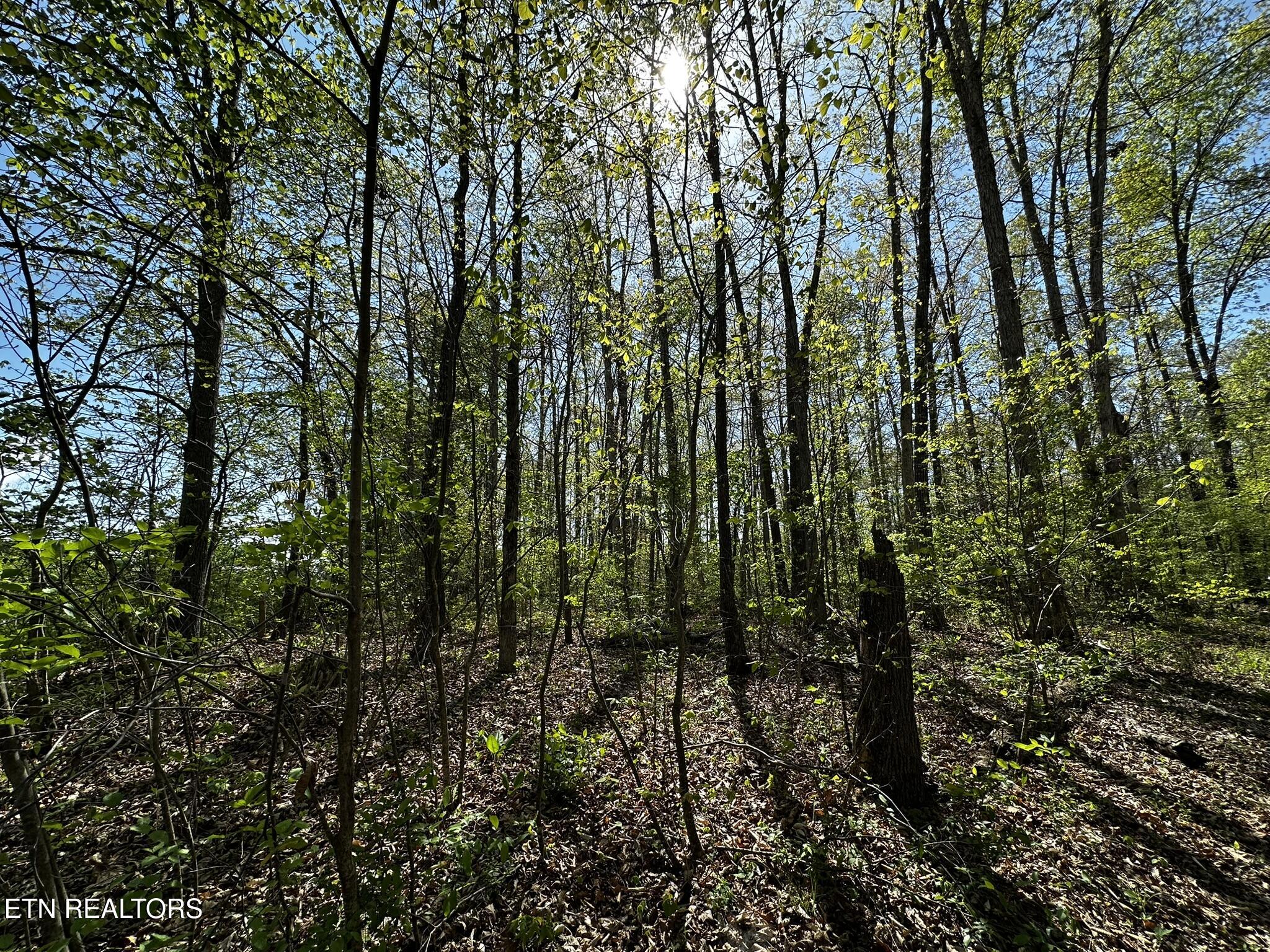 105 Johnson Hollow Lane Greeneville TN 37745