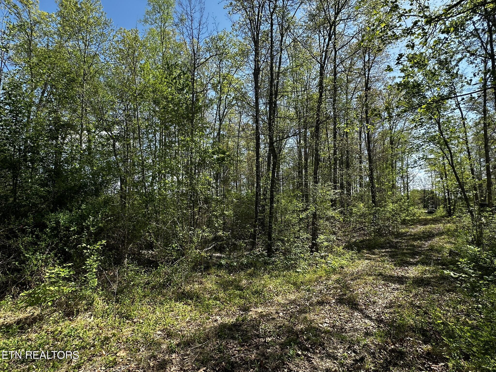 105 Johnson Hollow Lane Greeneville TN 37745