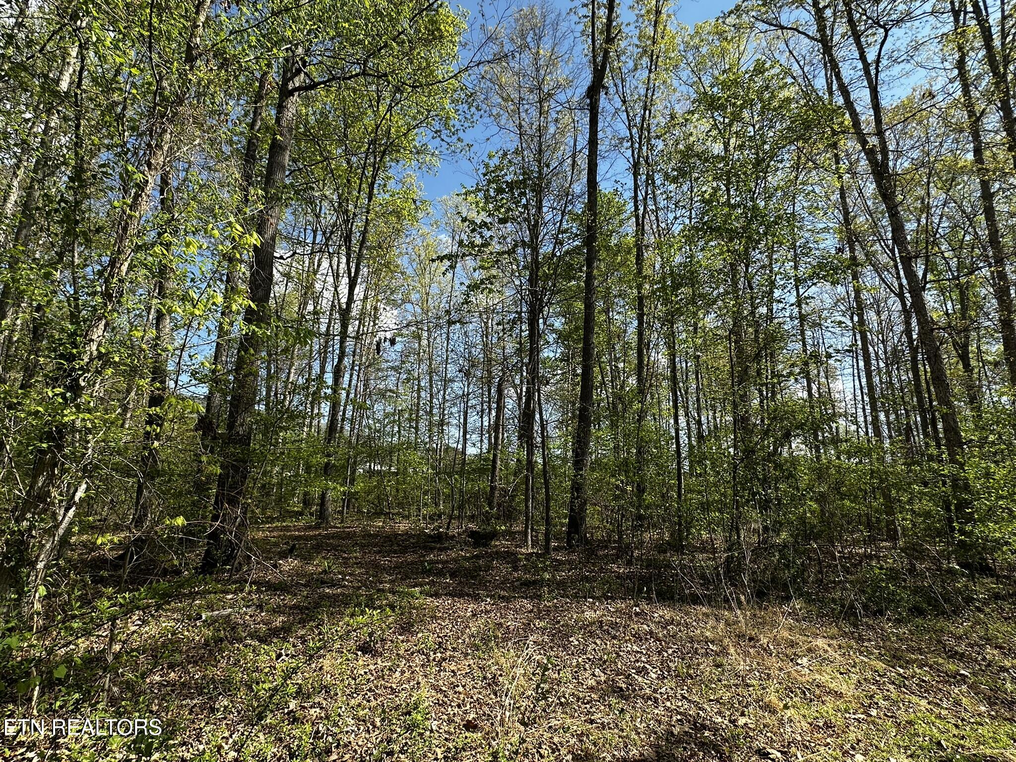 105 Johnson Hollow Lane Greeneville TN 37745