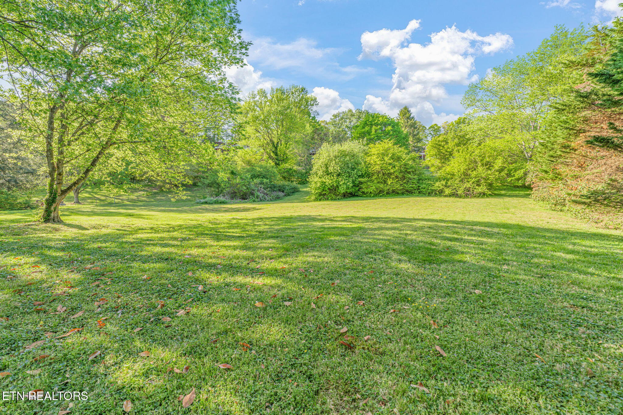 206 Lakeview Lane Oak Ridge TN 37830
