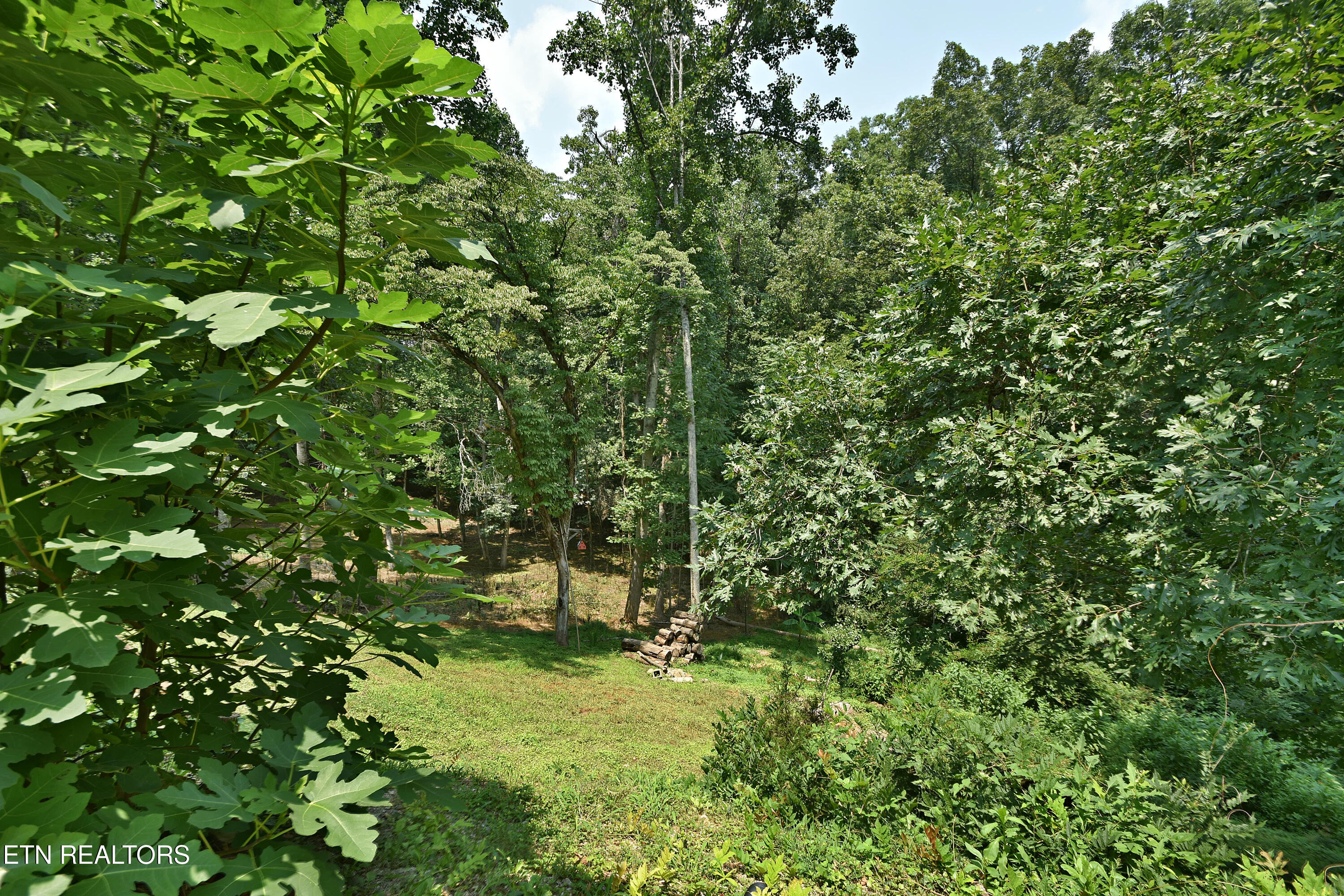 700 Lake Forest Drive Lenoir City TN 37772