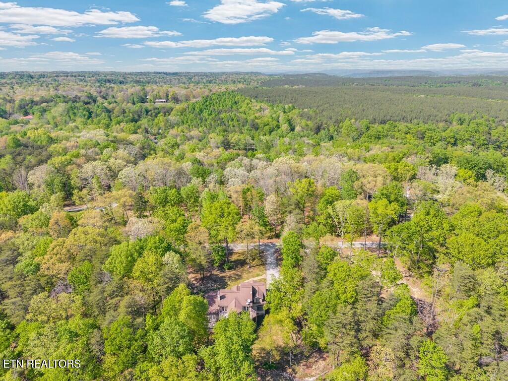 160 Eagles Bluff Circle Spencer TN 38585