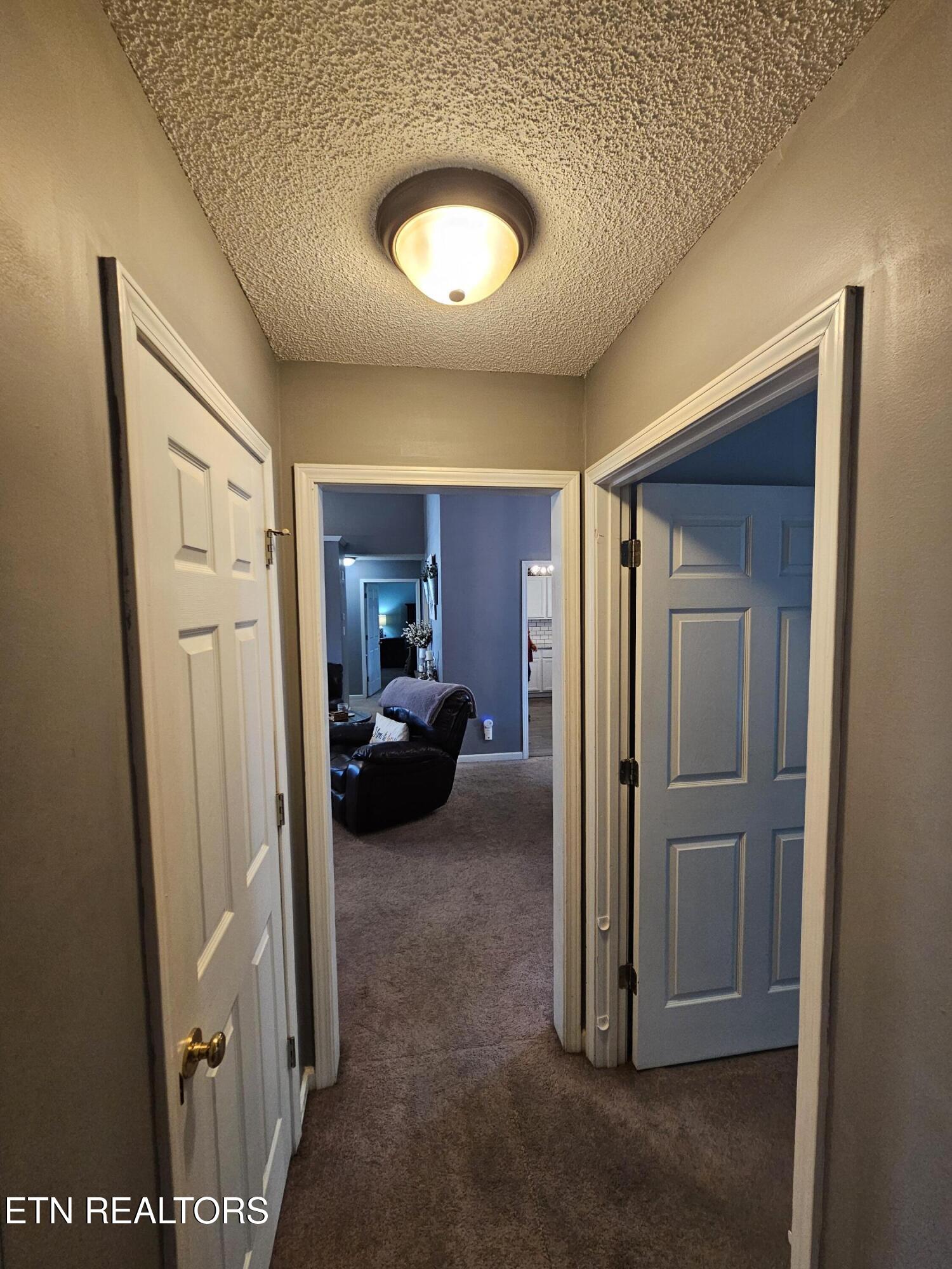 2904 Mount Pleasant Road Knoxville TN 37921