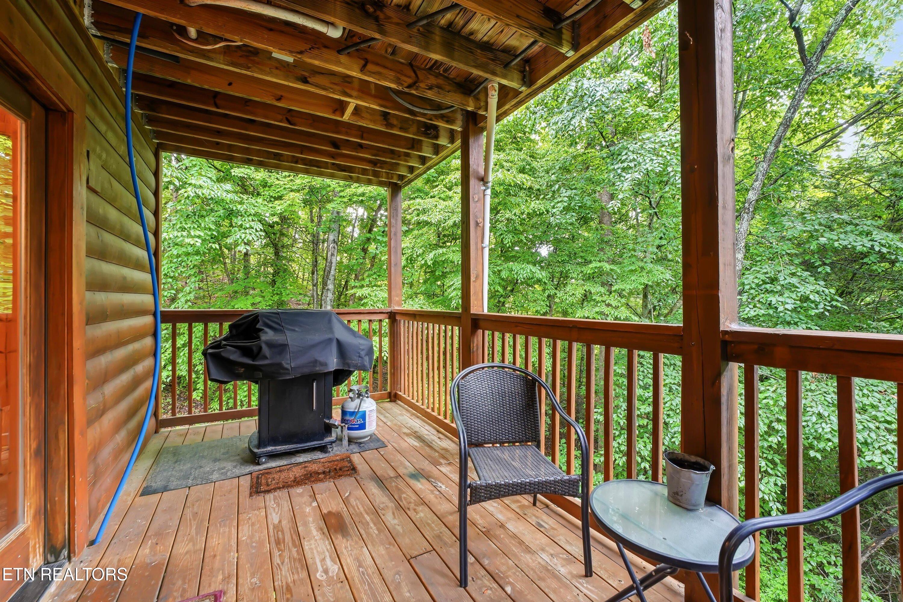 336 Big Bear Way Pigeon Forge TN 37863