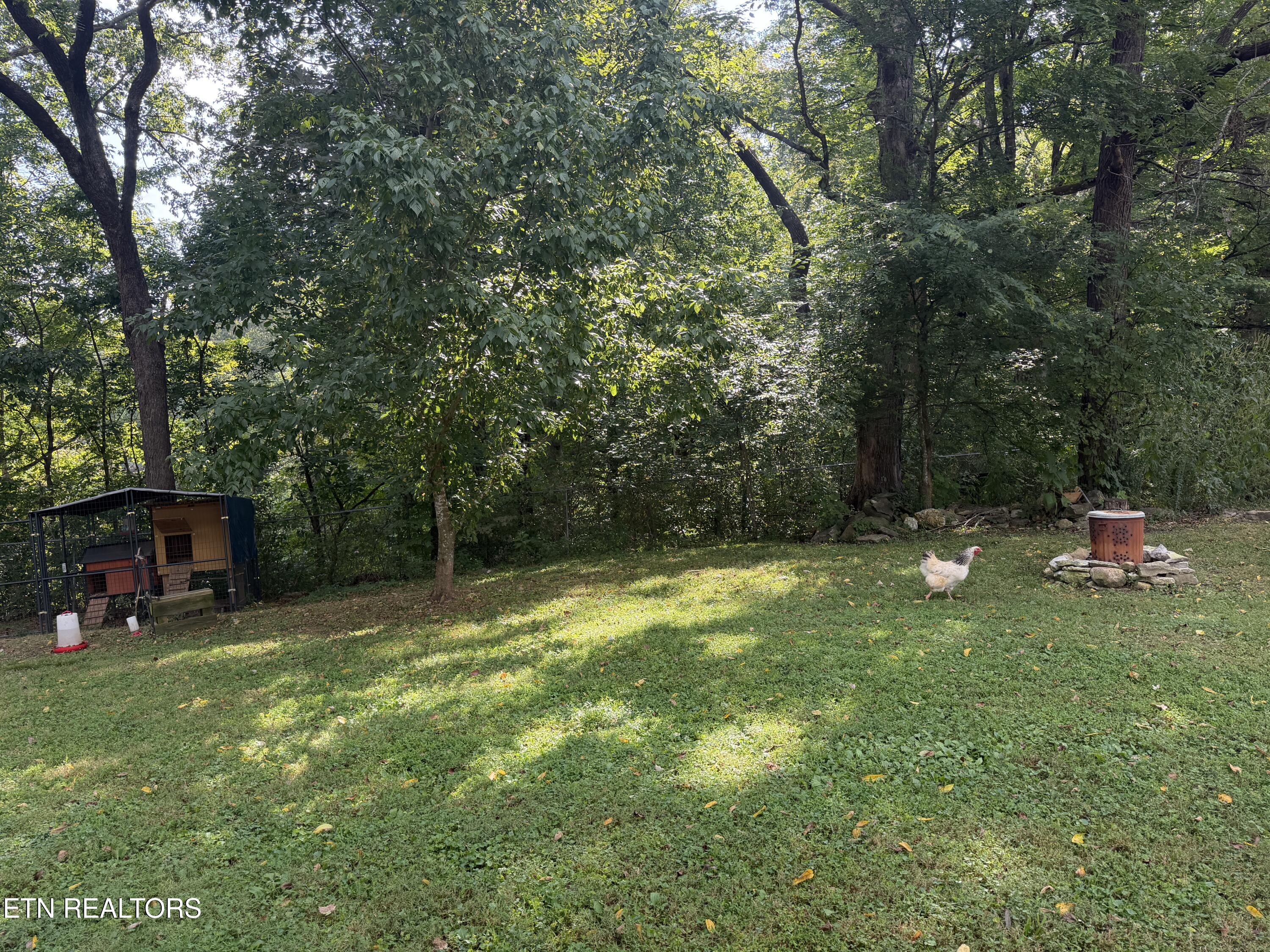 744 Cross Valley Road Lafollette TN 37766