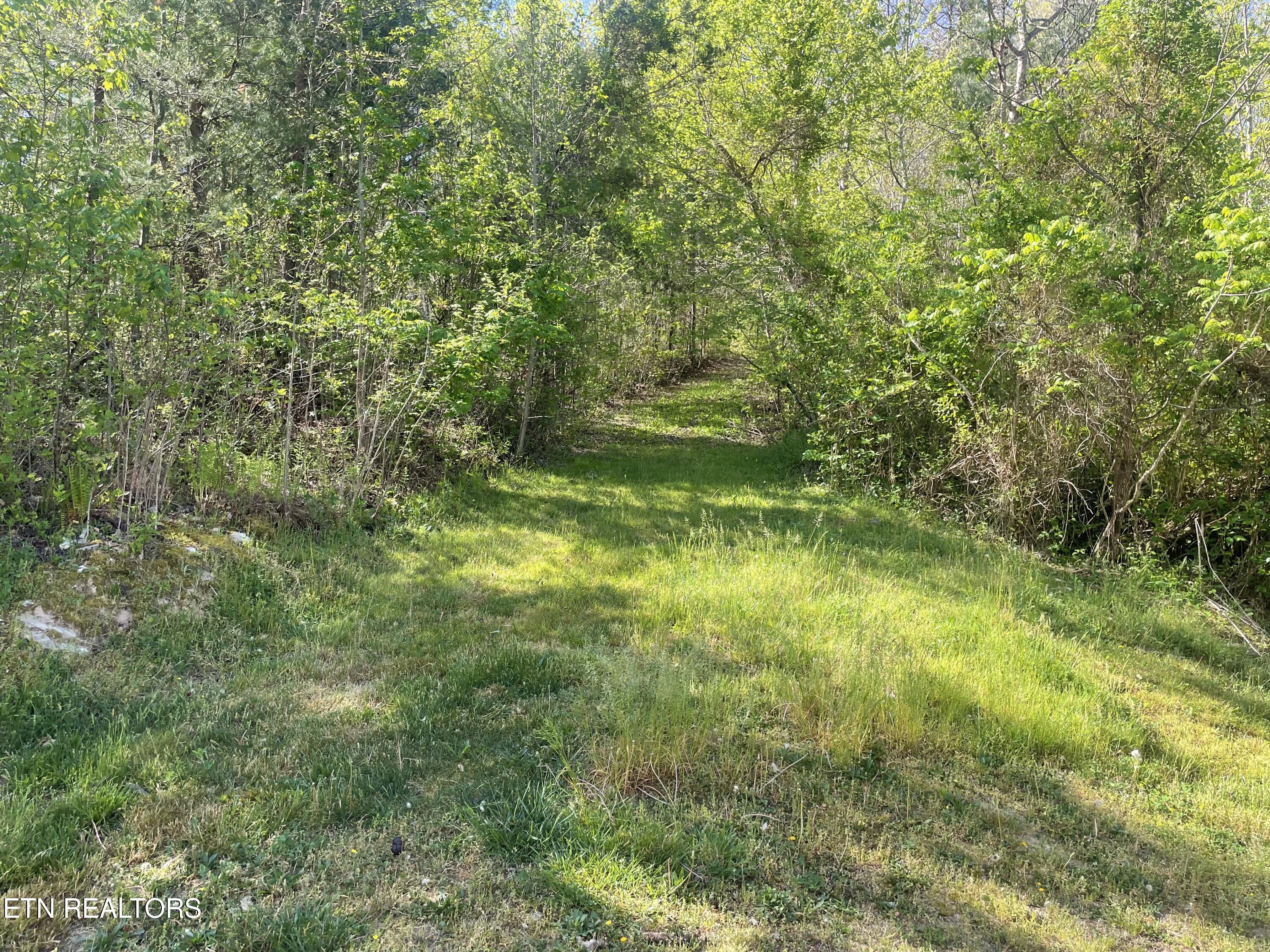 192 Massingale Road Tellico Plains TN 37385