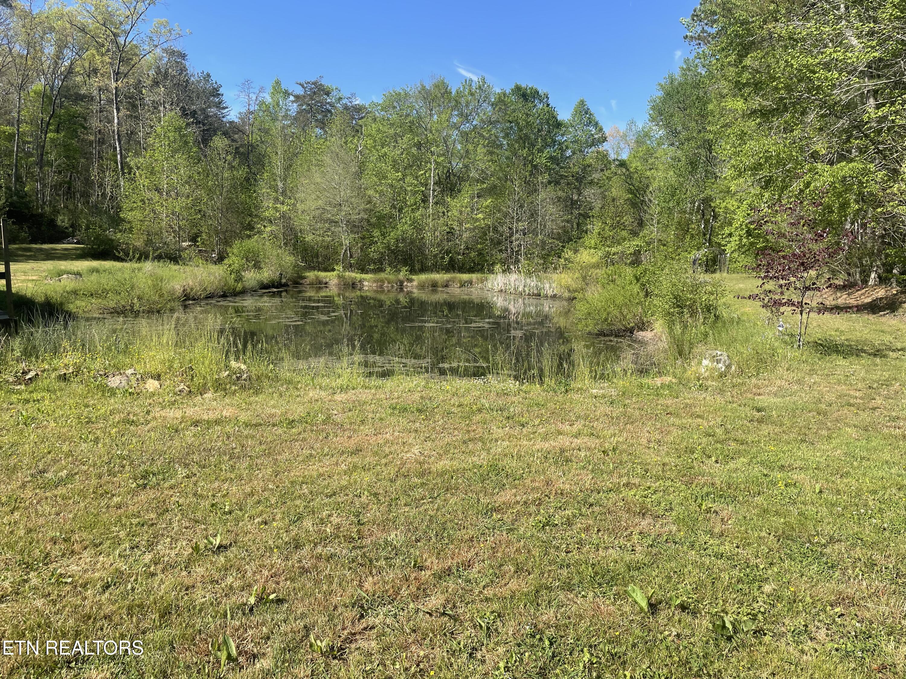 192 Massingale Road Tellico Plains TN 37385