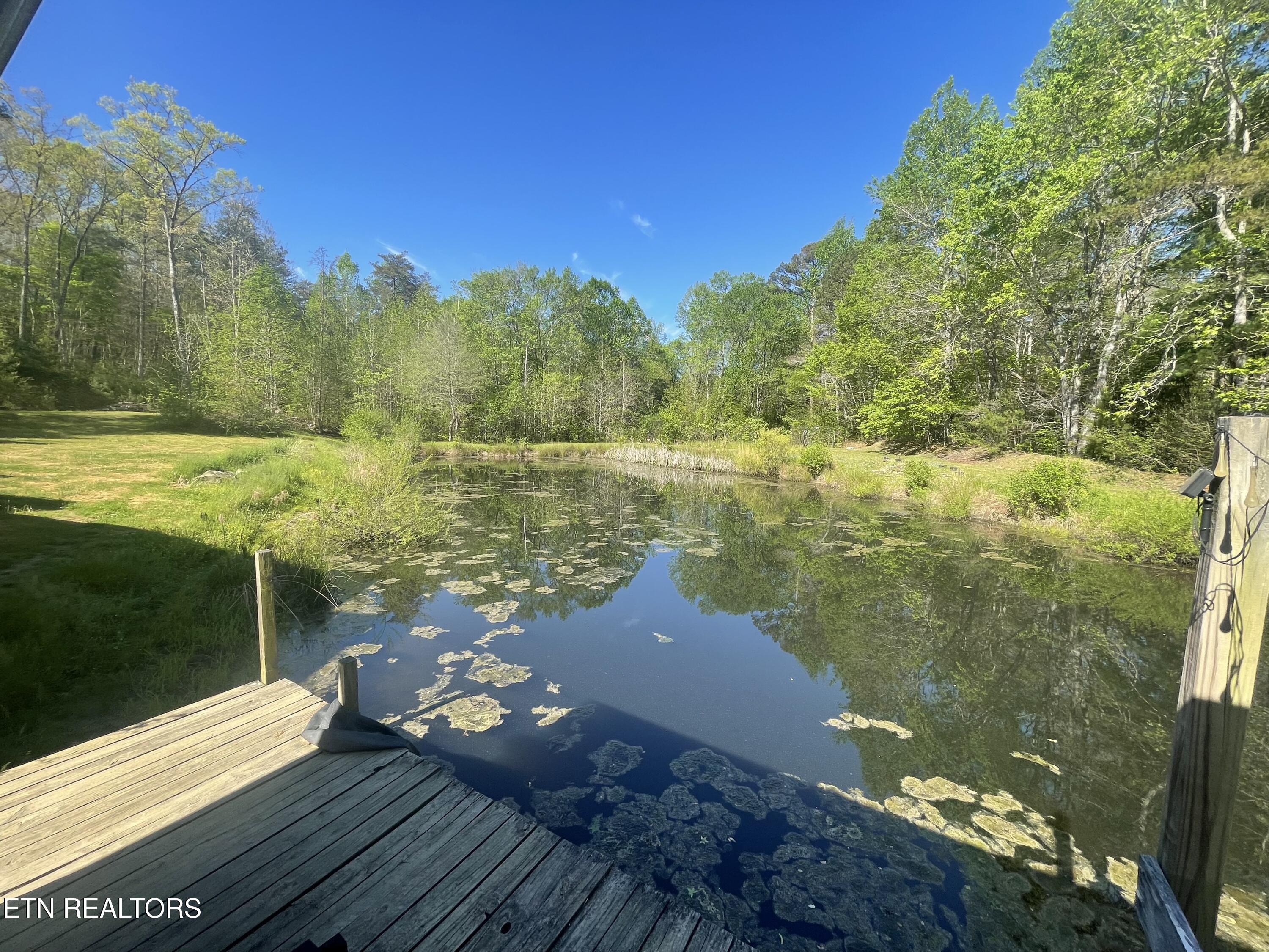 192 Massingale Road Tellico Plains TN 37385