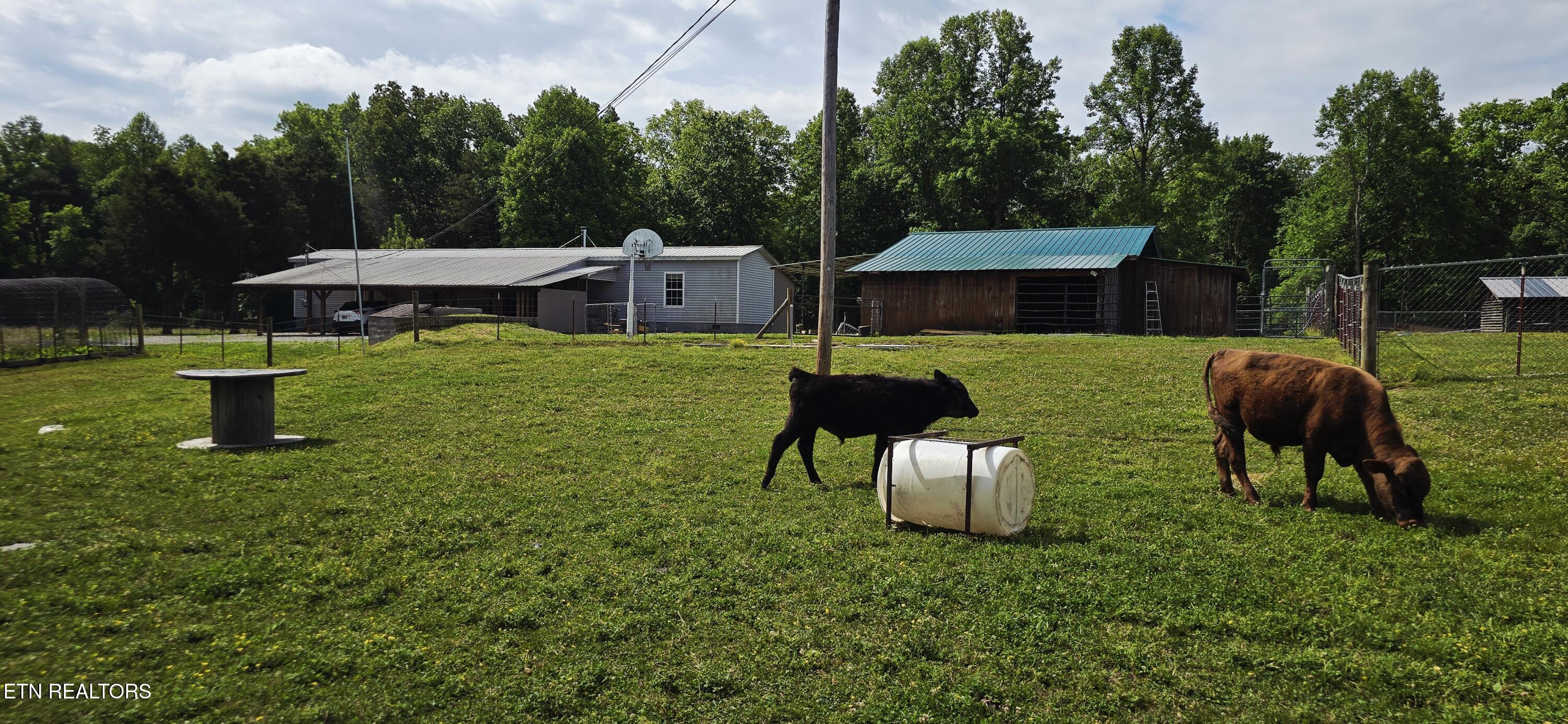 204 Honey Creek Loop Road Allardt TN 38504