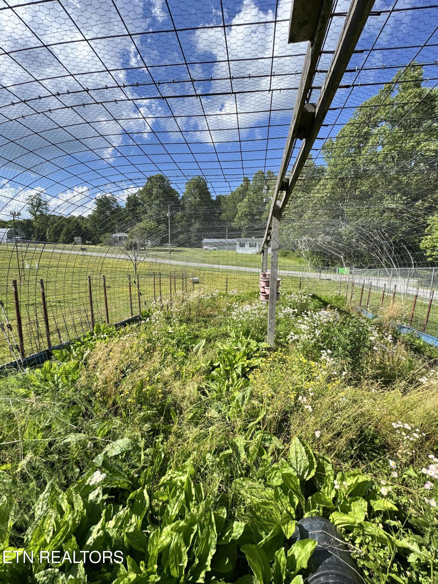 204 Honey Creek Loop Road Allardt TN 38504