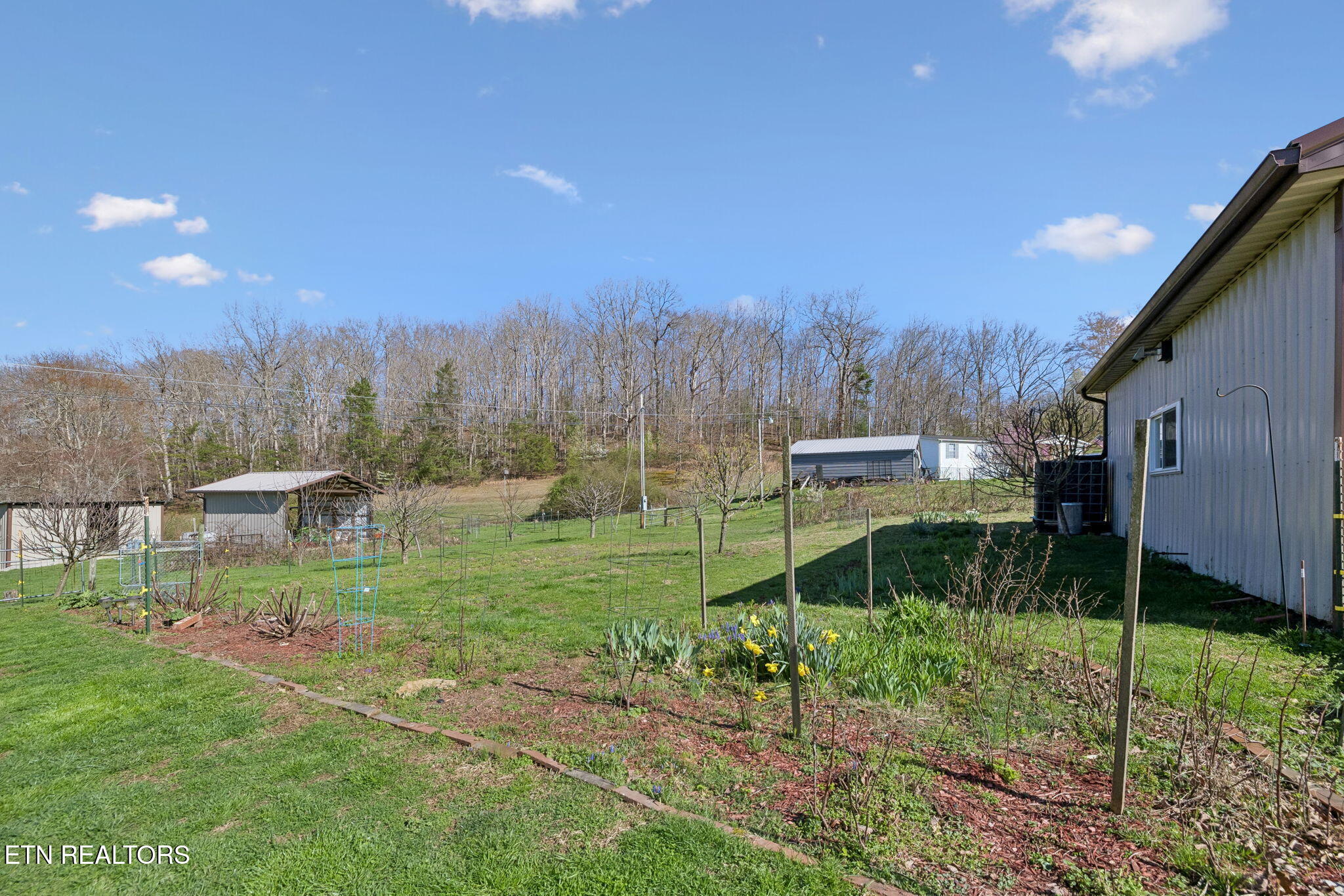 704 Pea Ridge Road Sunbright TN 37872