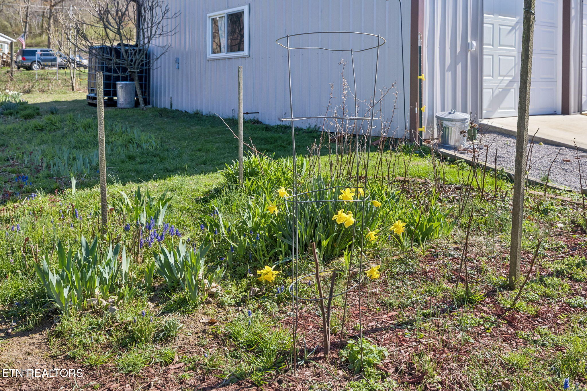 704 Pea Ridge Road Sunbright TN 37872