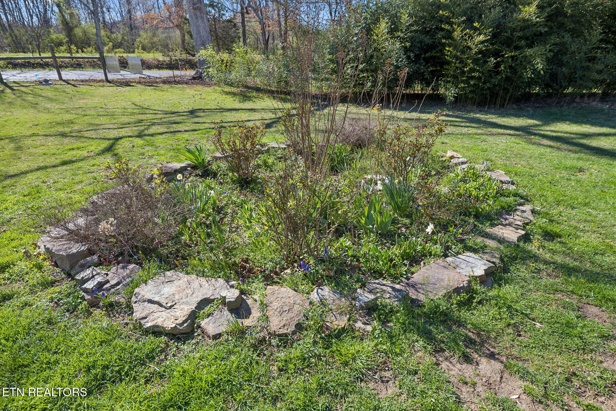 704 Pea Ridge Road Sunbright TN 37872