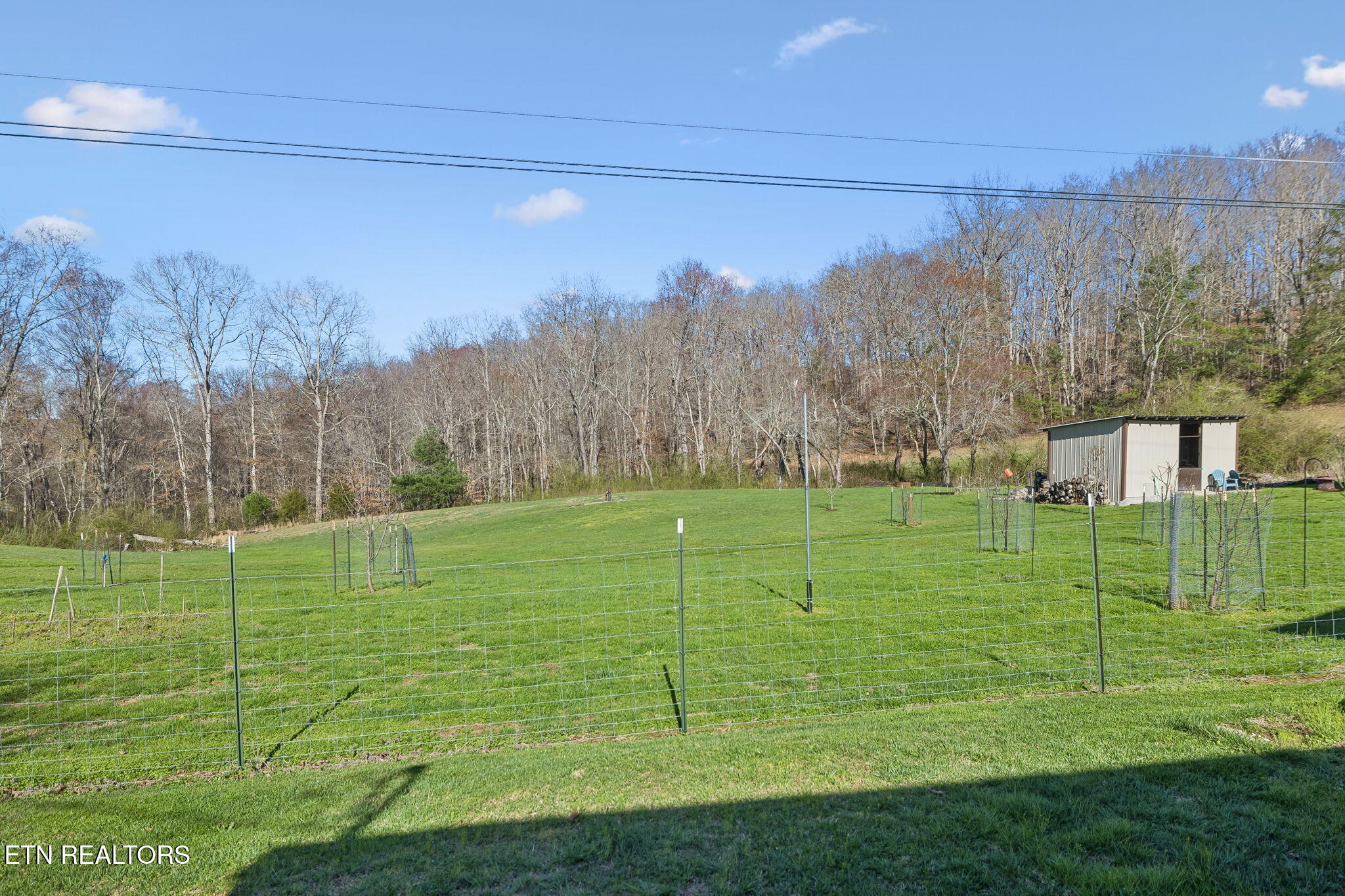 704 Pea Ridge Road Sunbright TN 37872