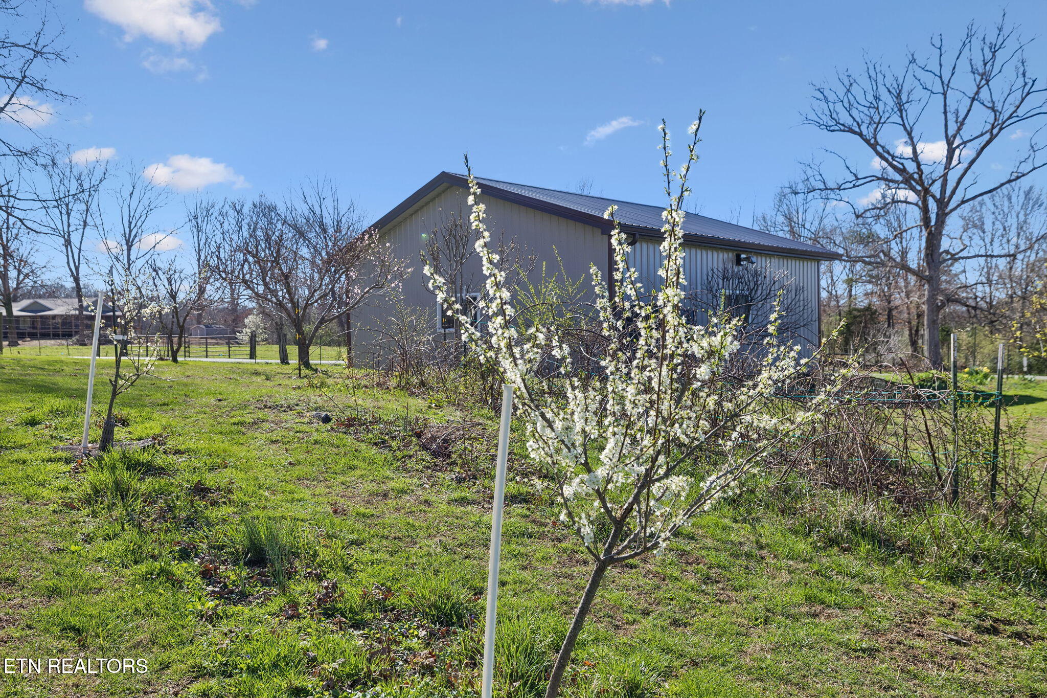 704 Pea Ridge Road Sunbright TN 37872