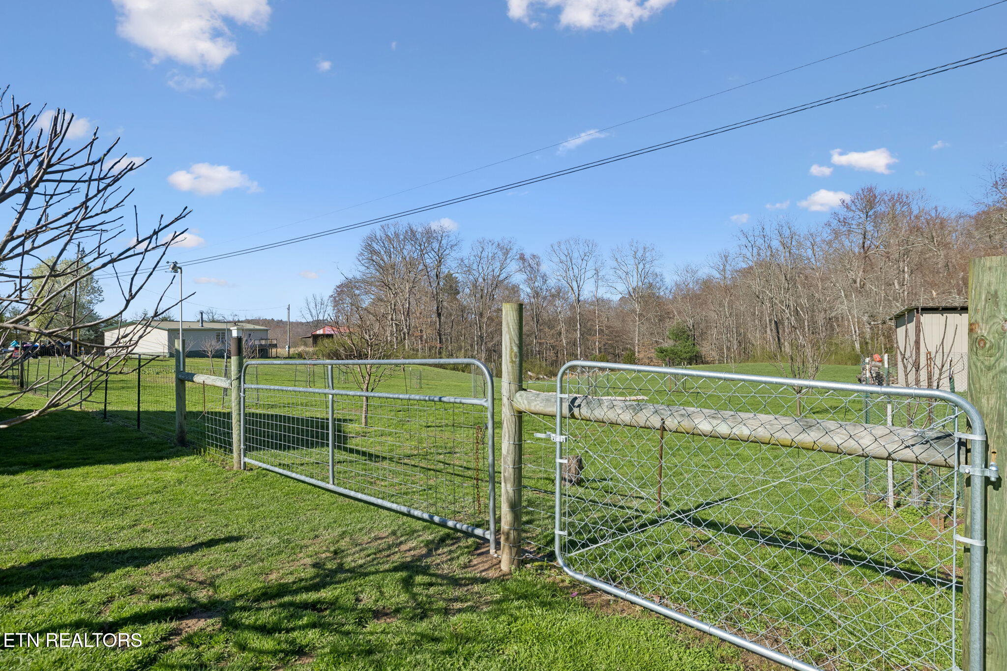 704 Pea Ridge Road Sunbright TN 37872