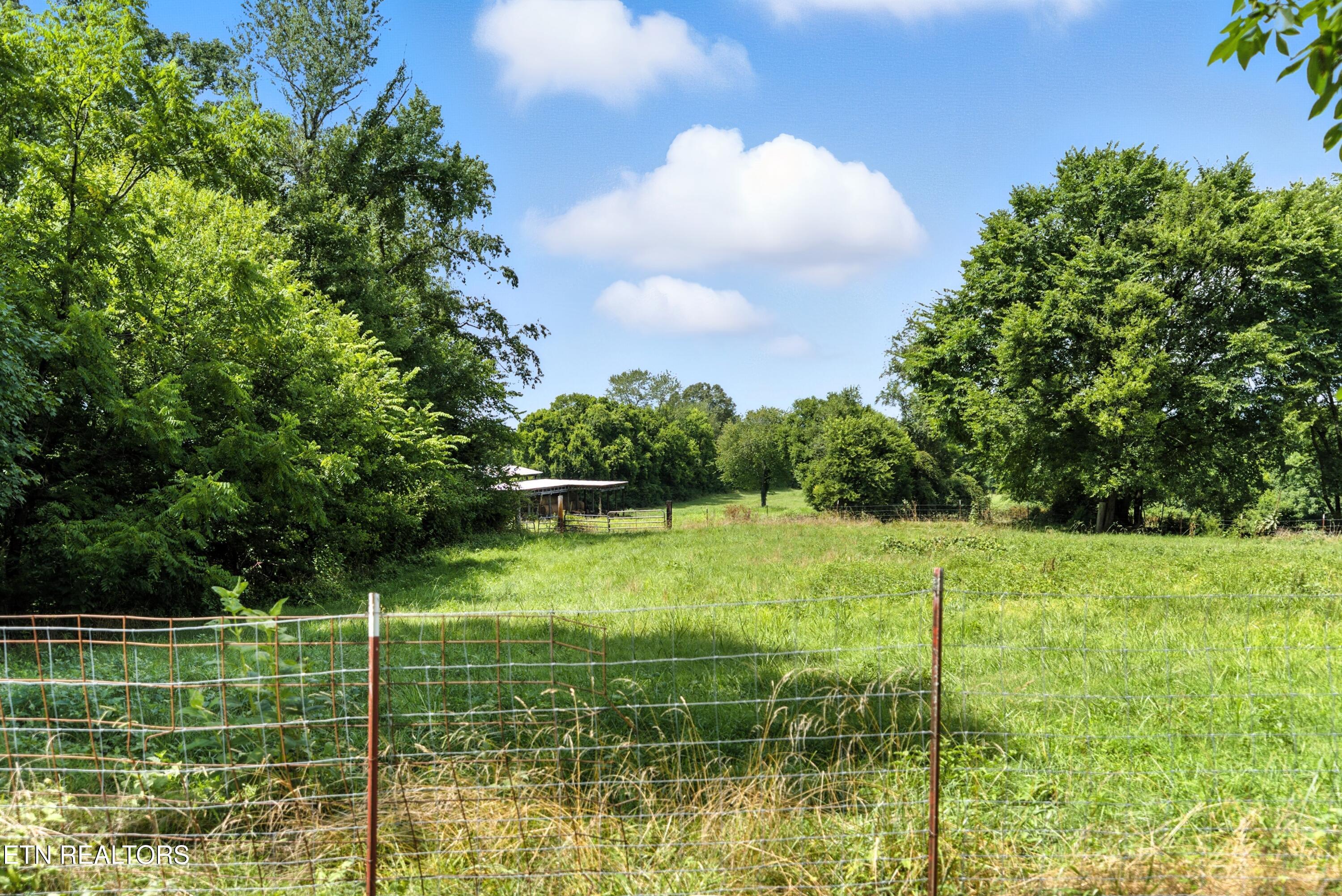 125 Barnes Lane Strawberry Plains TN 37871