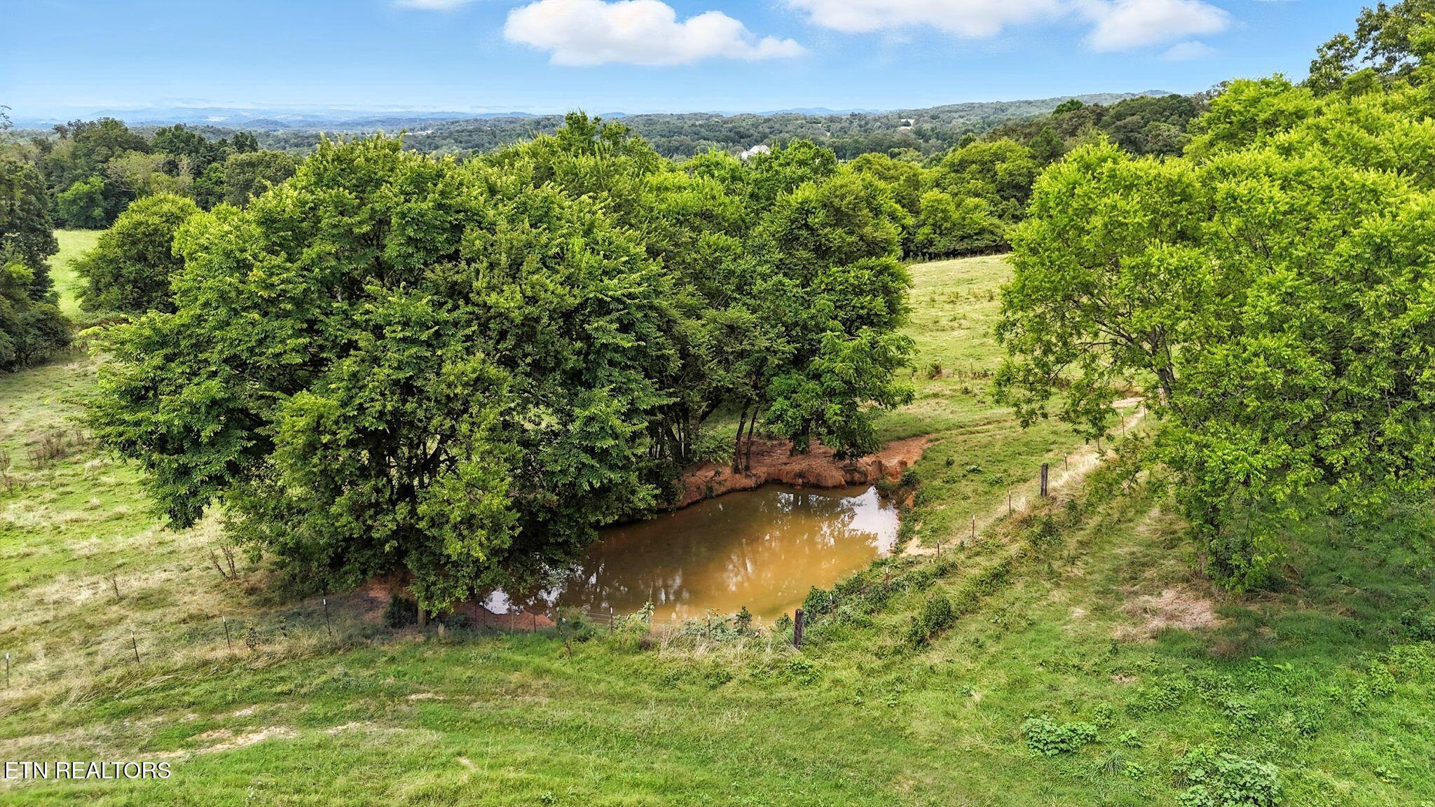 125 Barnes Lane Strawberry Plains TN 37871
