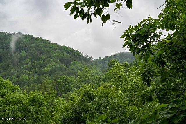 1044 Black Bear Cub Way Sevierville TN 37862