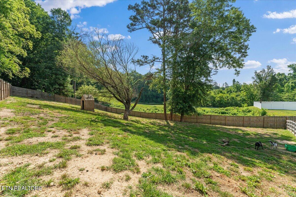 8528 Heiskell Road Powell TN 37849