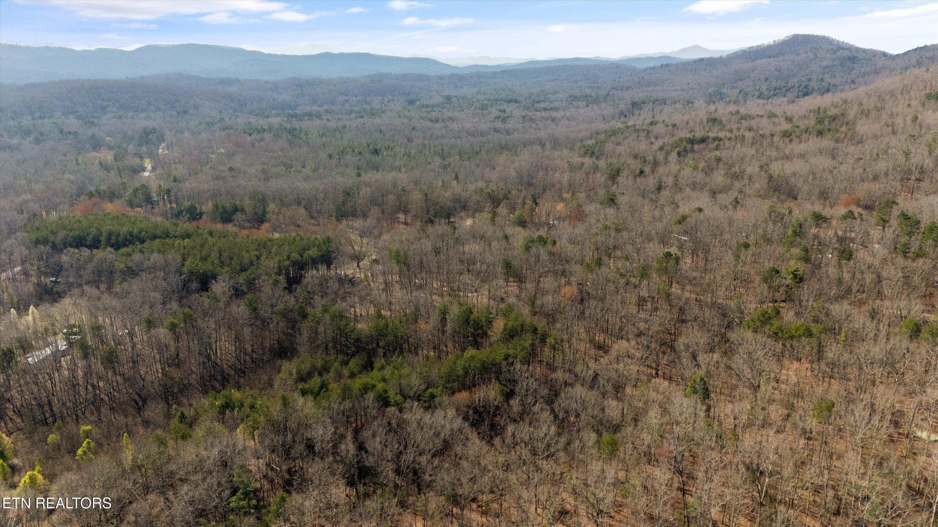 575 Ironsburg Road Tellico Plains TN 37385