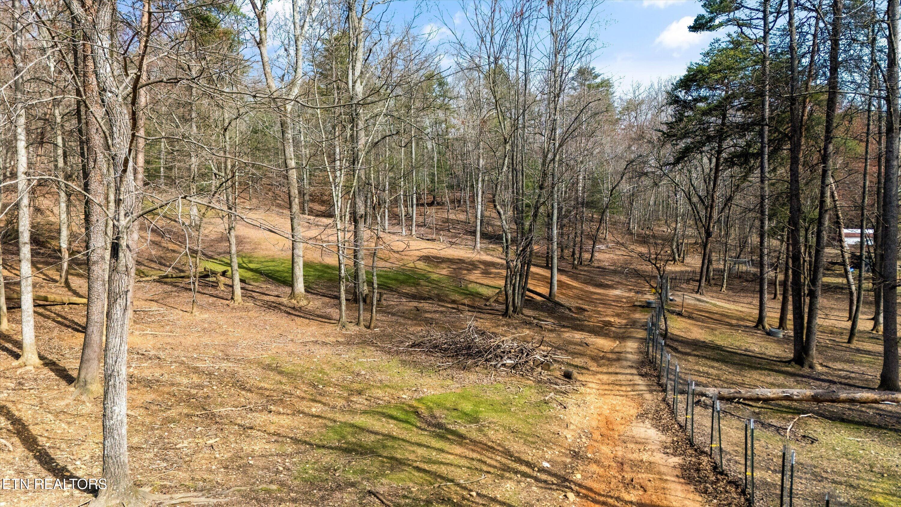 575 Ironsburg Road Tellico Plains TN 37385