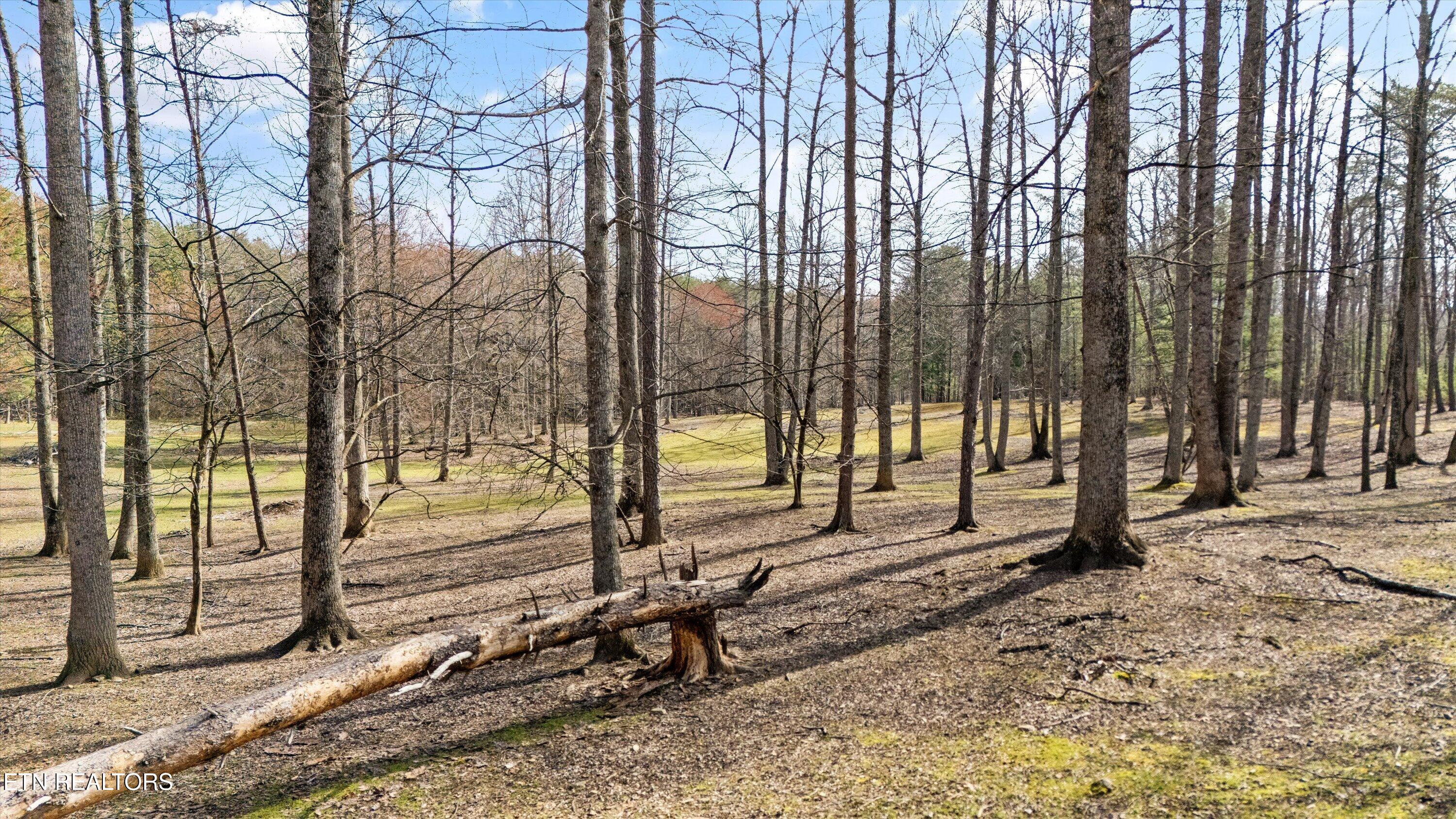 575 Ironsburg Road Tellico Plains TN 37385