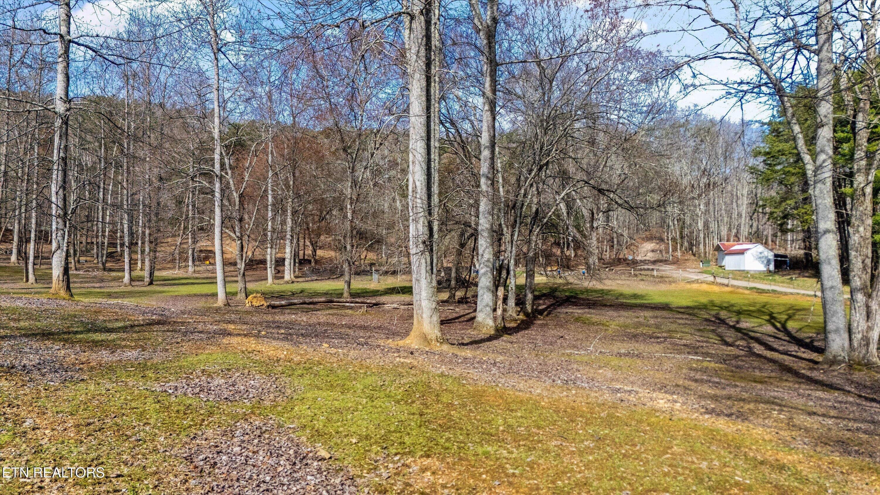 575 Ironsburg Road Tellico Plains TN 37385