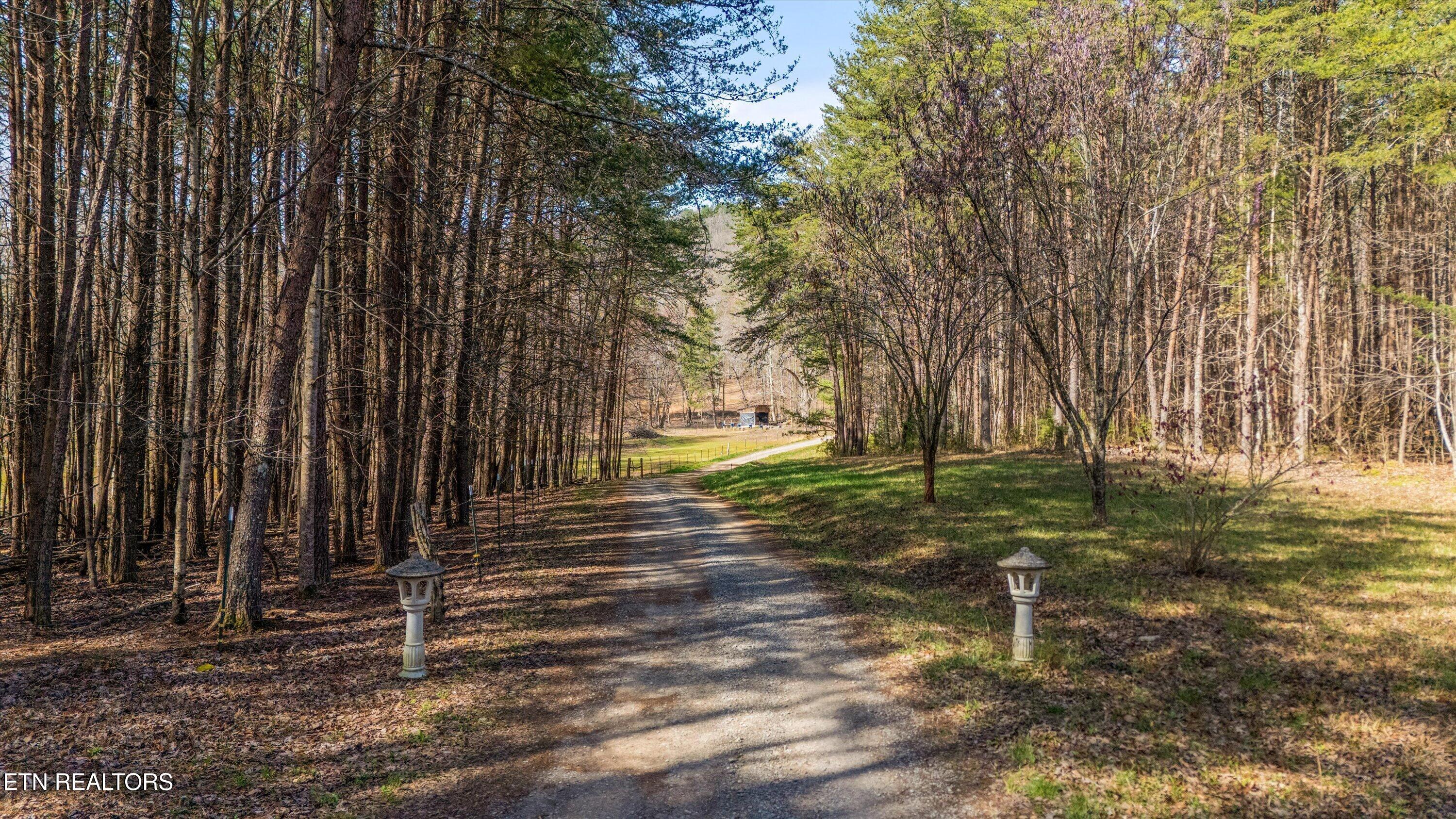 575 Ironsburg Road Tellico Plains TN 37385
