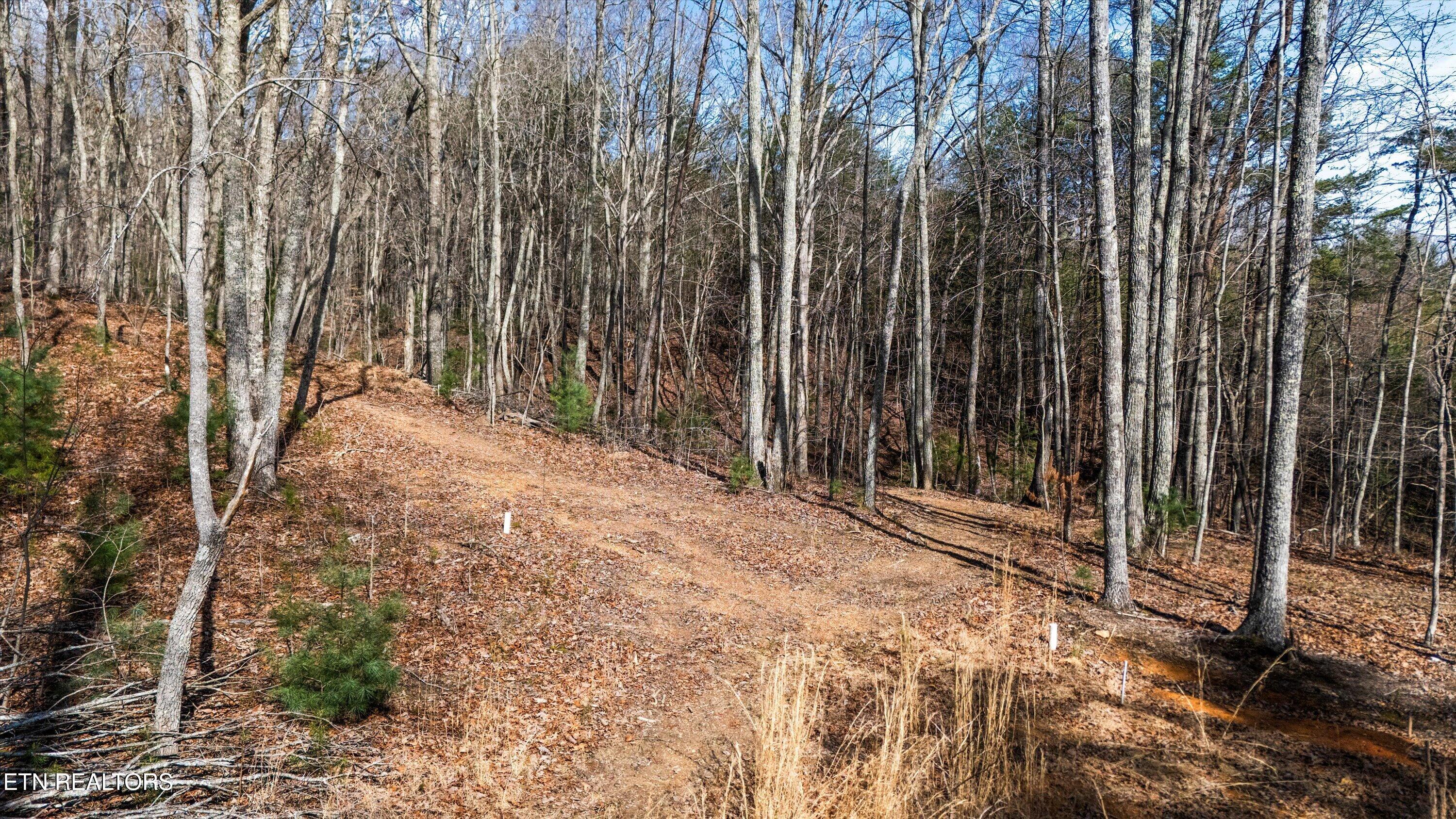 575 Ironsburg Road Tellico Plains TN 37385