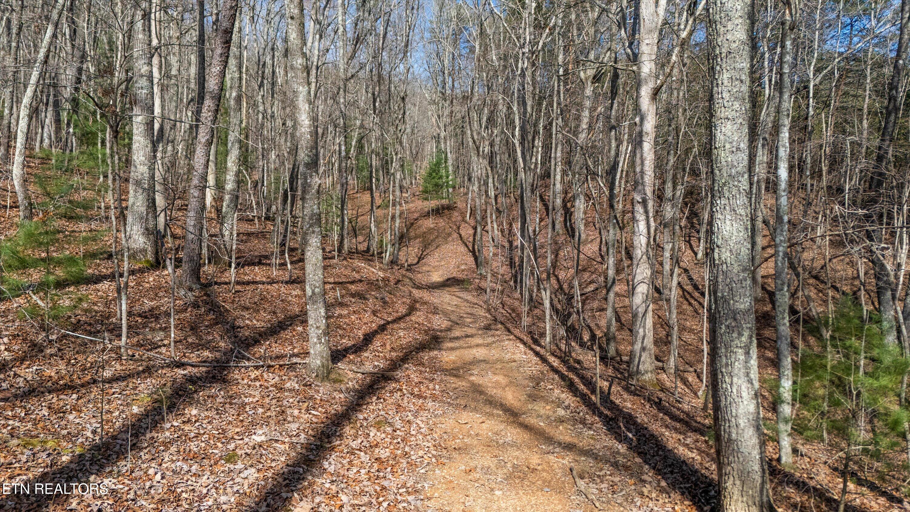 575 Ironsburg Road Tellico Plains TN 37385