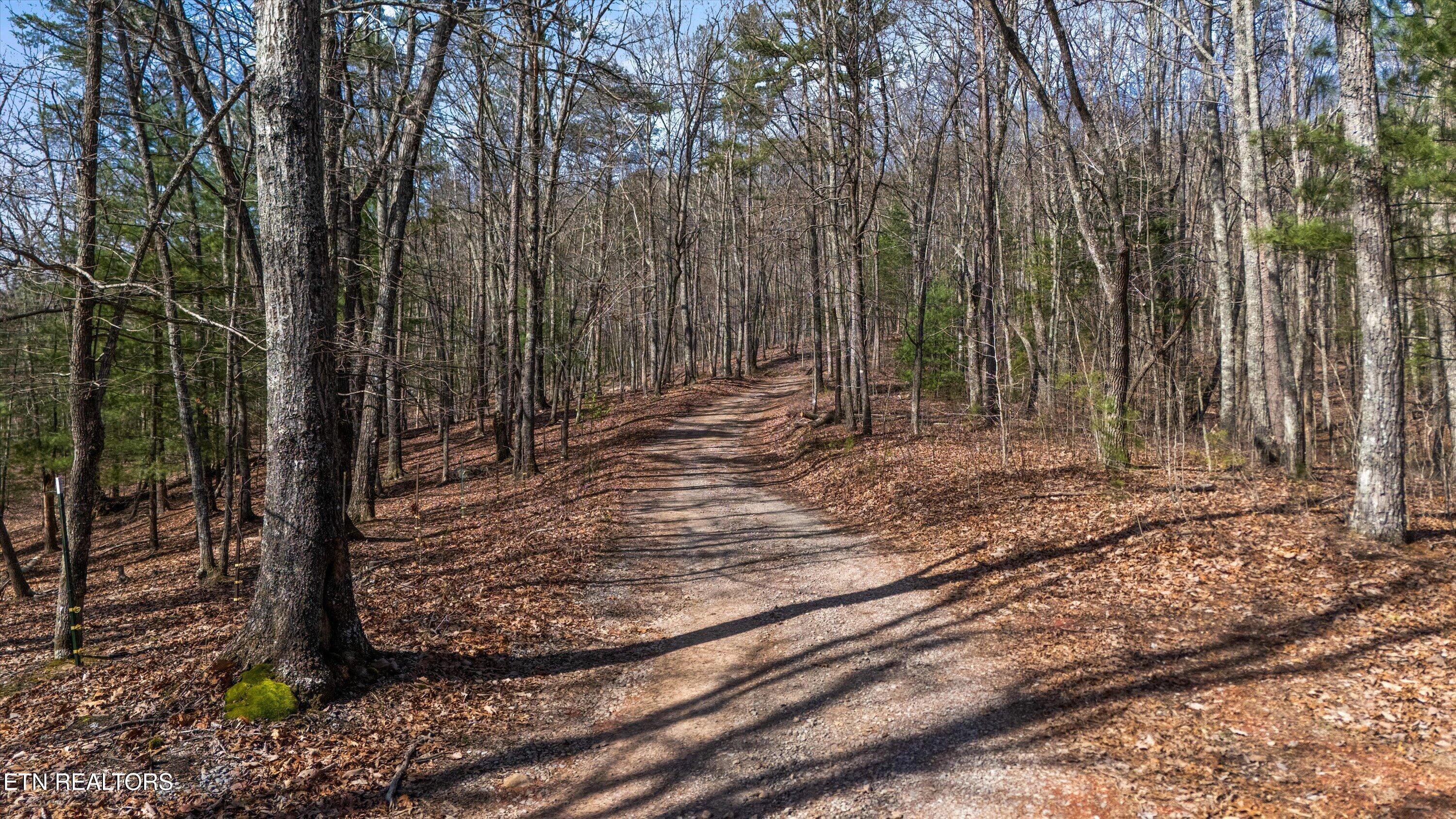 575 Ironsburg Road Tellico Plains TN 37385