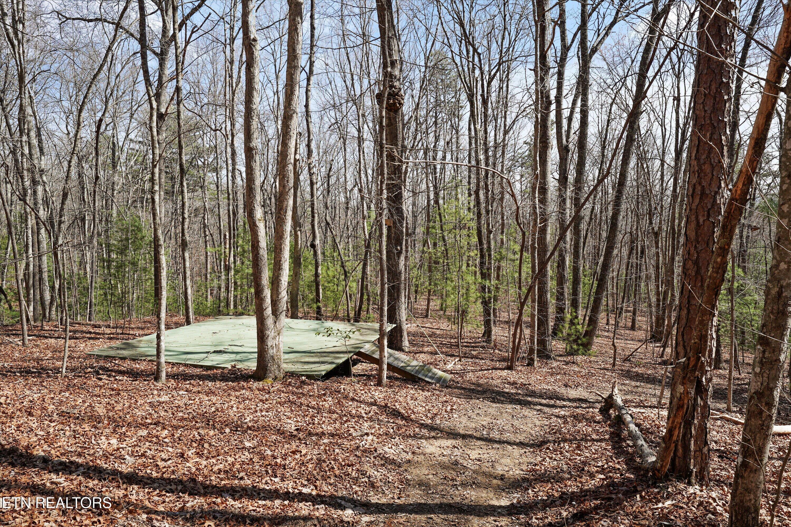 575 Ironsburg Road Tellico Plains TN 37385