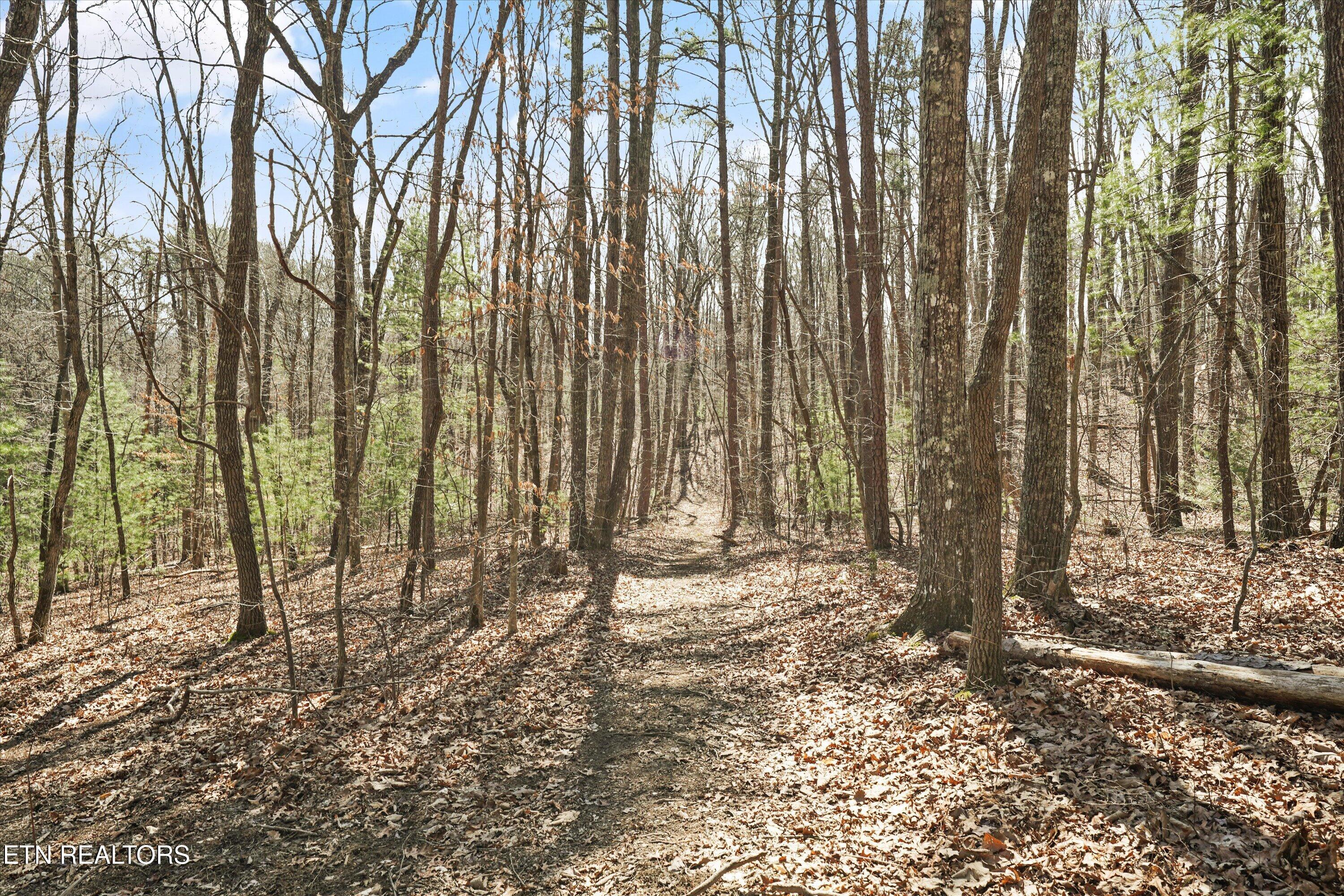 575 Ironsburg Road Tellico Plains TN 37385