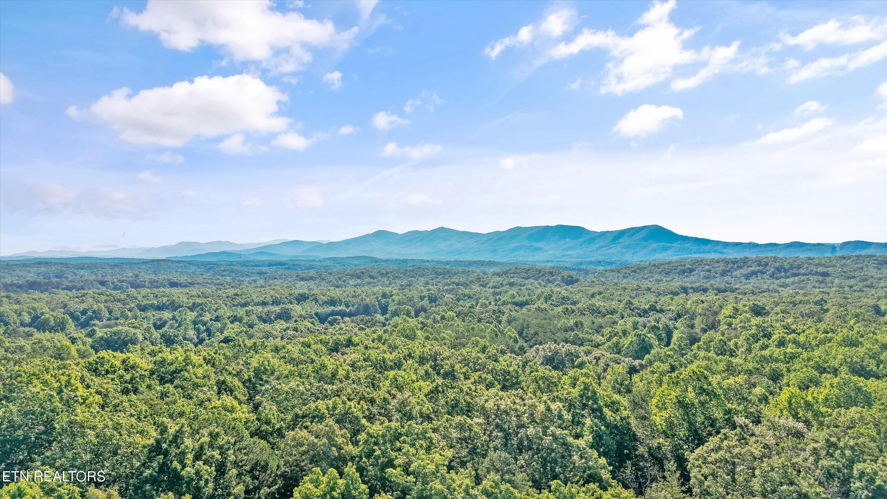575 Ironsburg Road Tellico Plains TN 37385