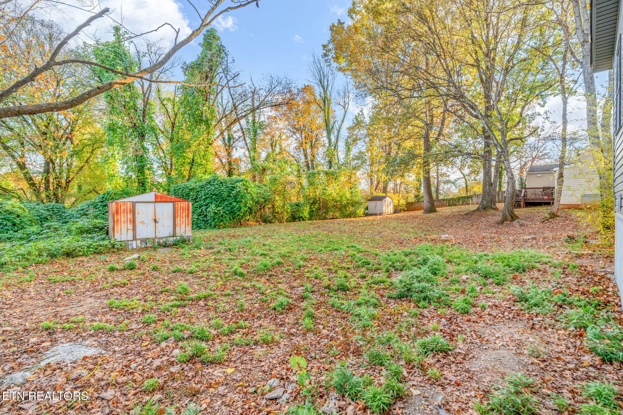 3136 Marion Drive Knoxville TN 37918