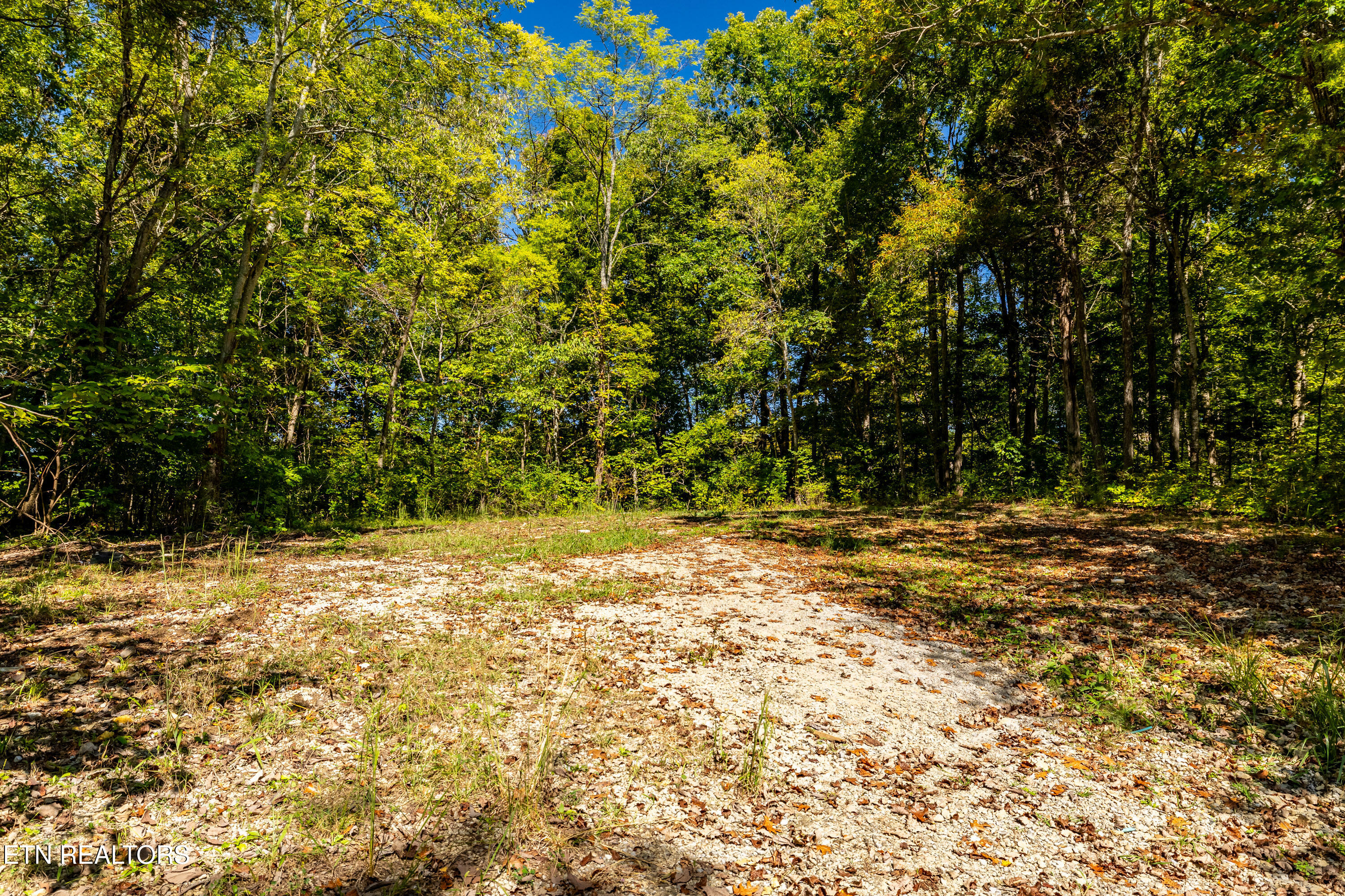 1231 Bowman Valley Road Knoxville TN 37920