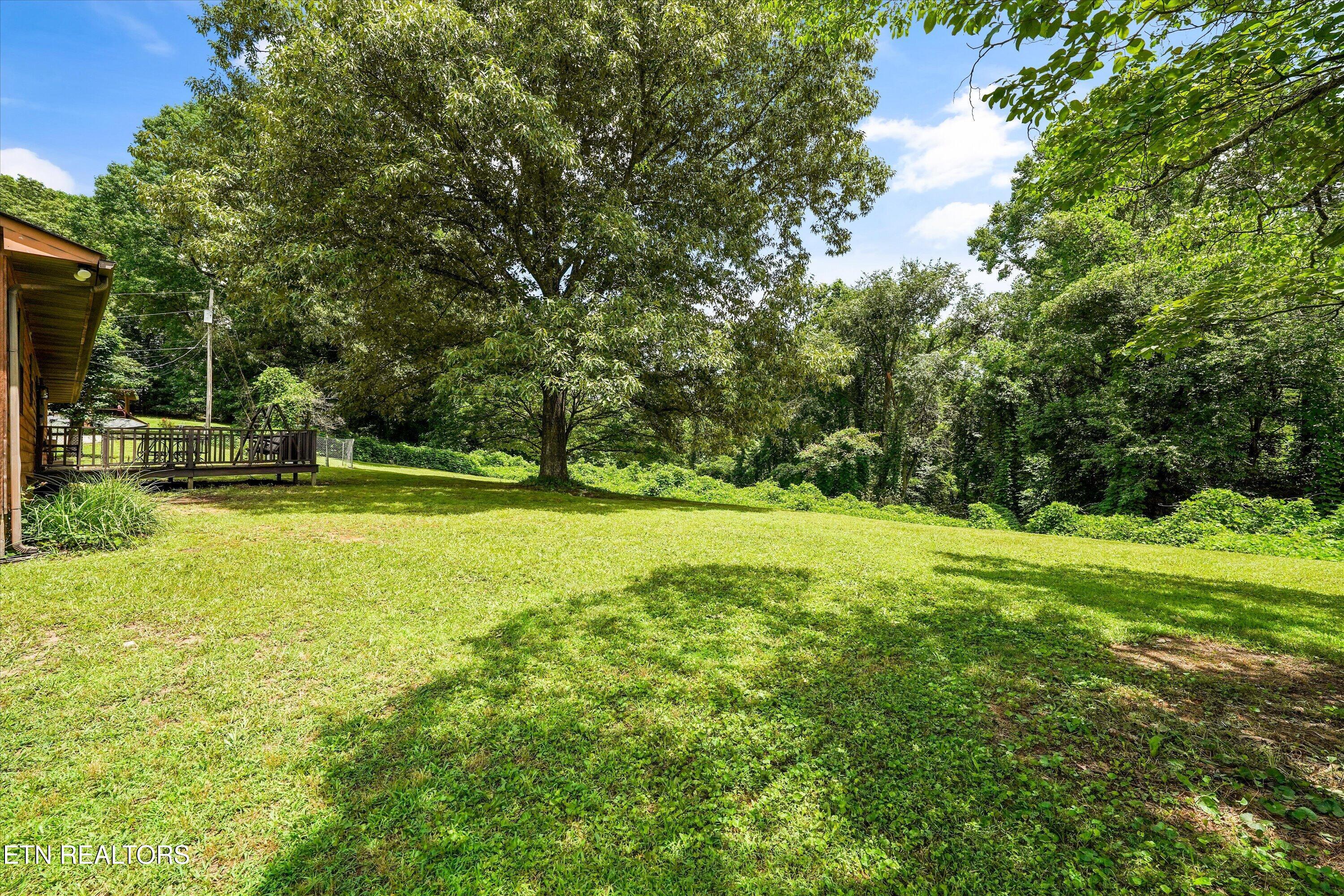 349 Fairchild Street Harriman TN 37748