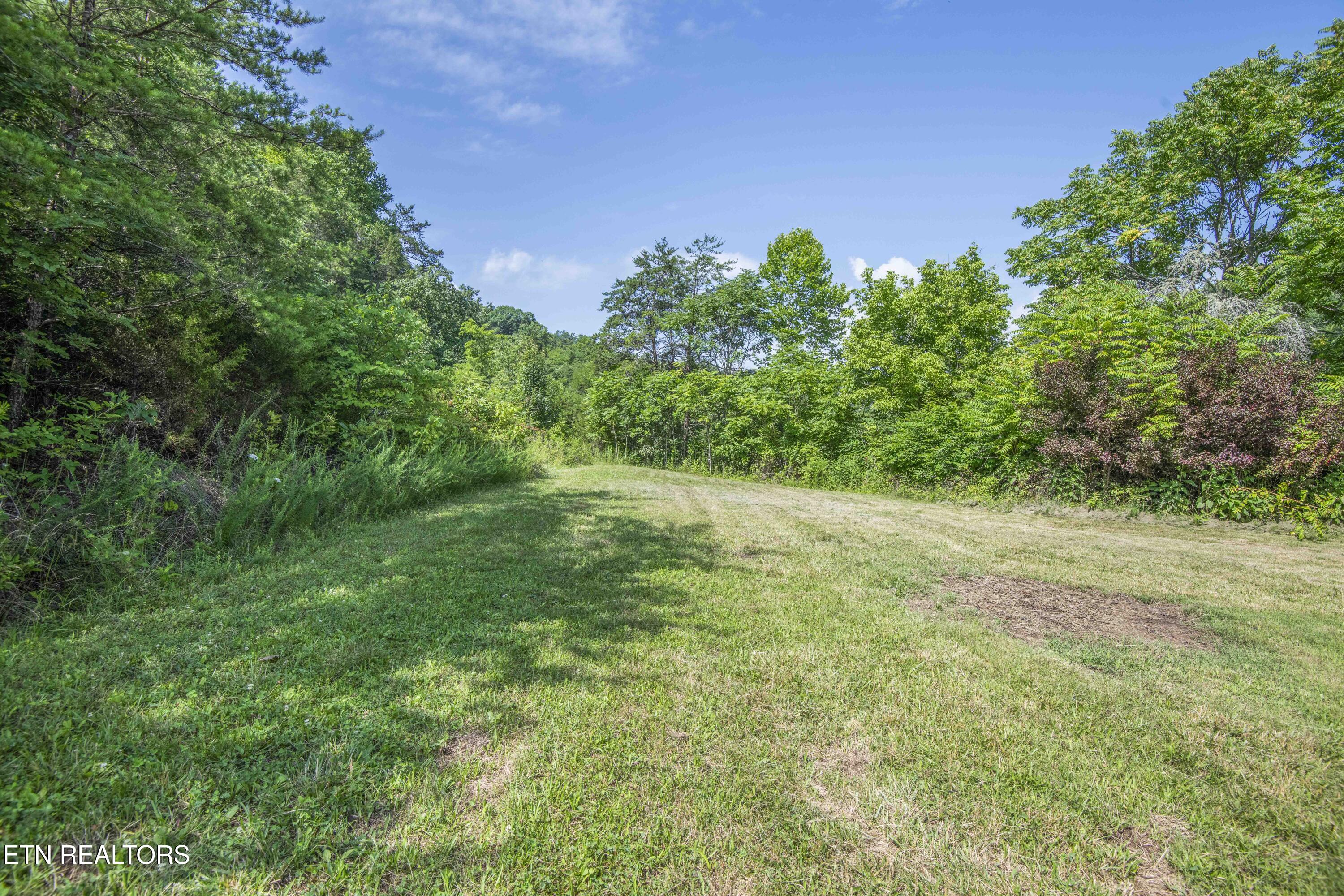 1587 Lower Caney Valley Road Tazewell TN 37879