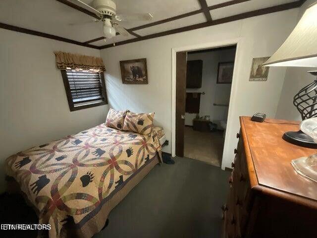 1218 Bear Den Trail Grandview TN 37337