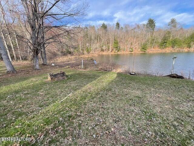 1218 Bear Den Trail Grandview TN 37337