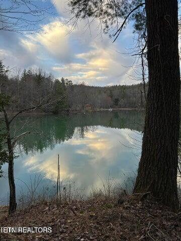 1218 Bear Den Trail Grandview TN 37337