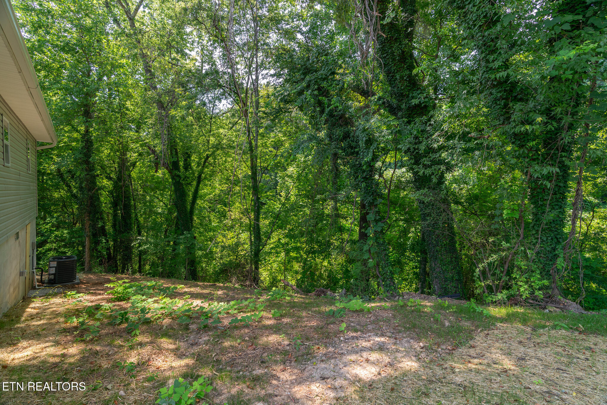 436 Jarnigan Street Clinton TN 37716