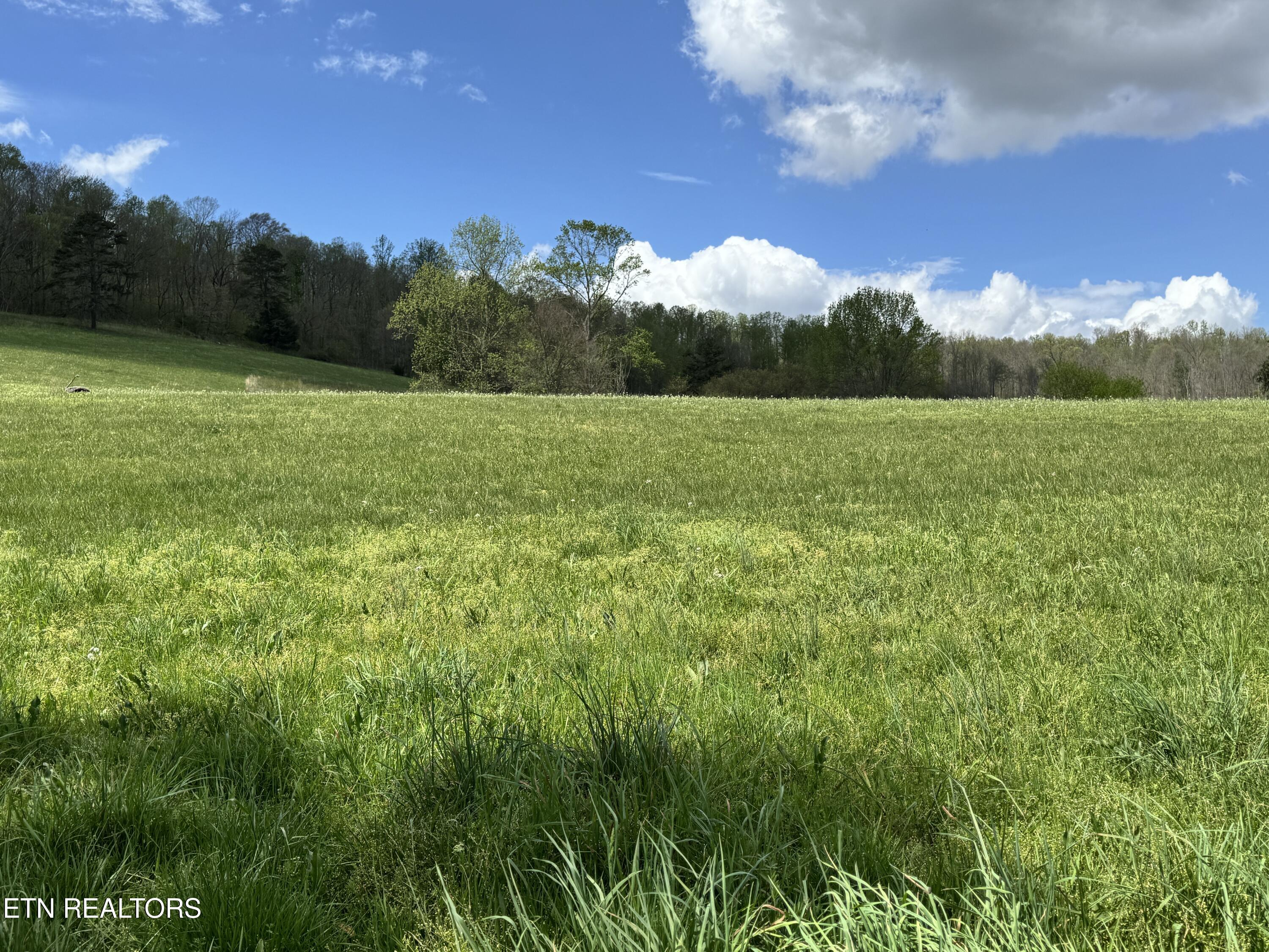 112 Shiloh Road Crawford TN 38554