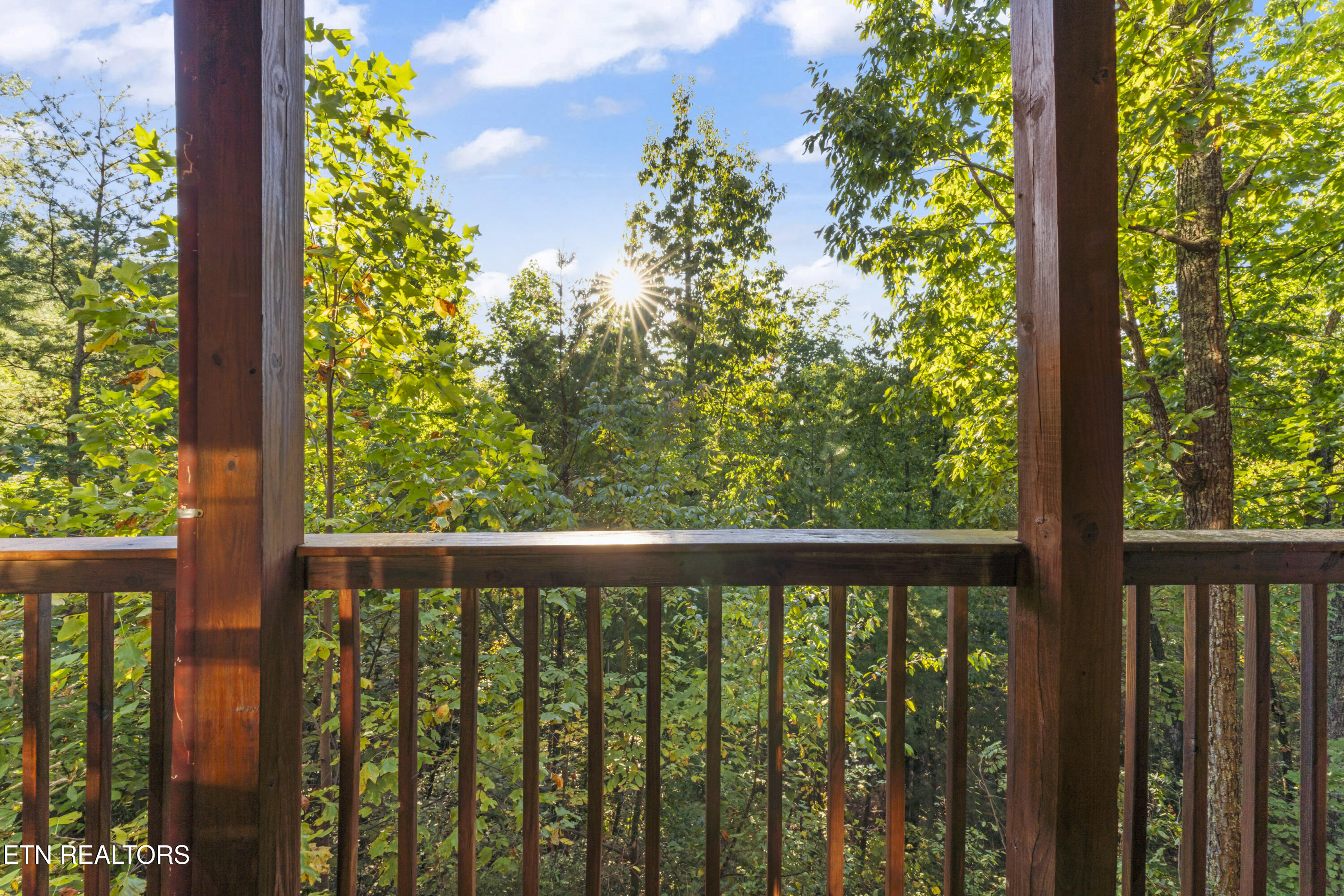 1550 Bears Den Way Sevierville TN 37876